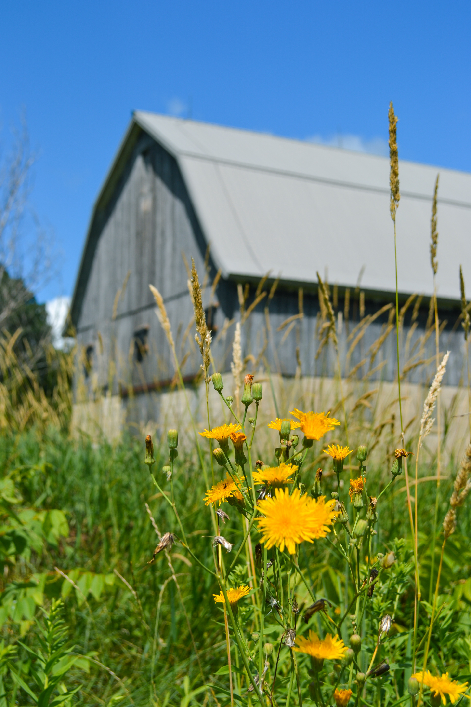 Doyle-Kennefick Regional Park