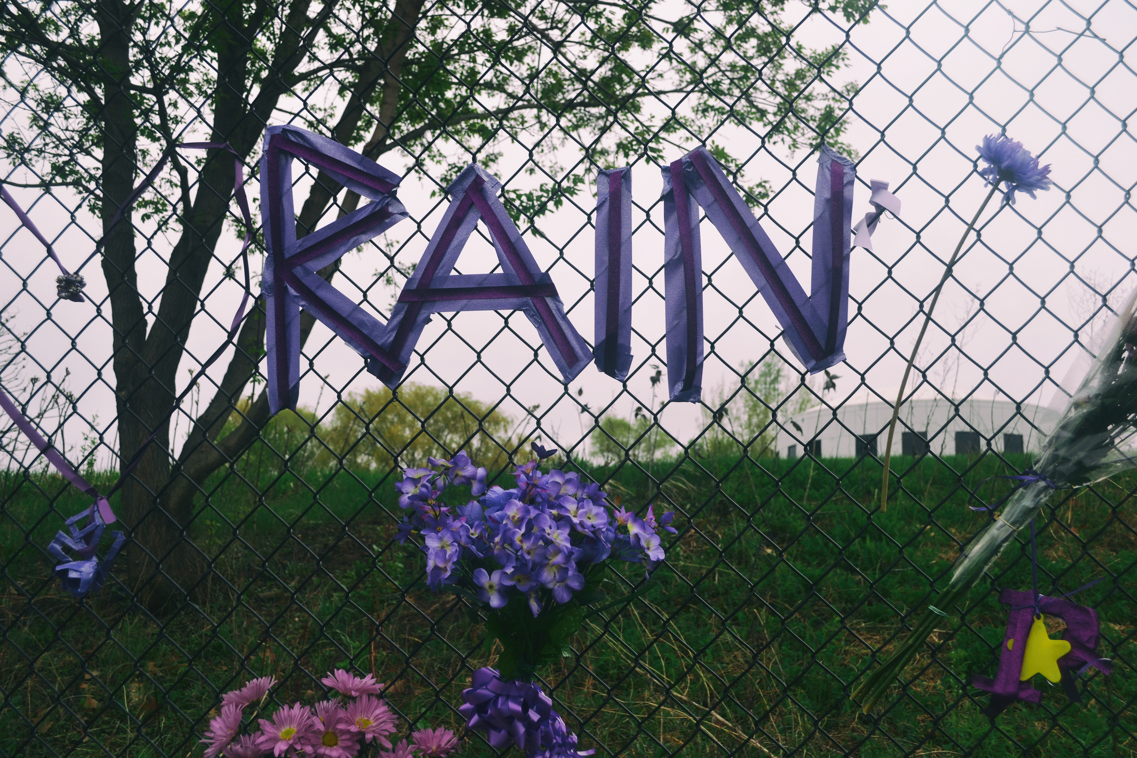 Paisley Park, Prince Memorial. 4/26/2016