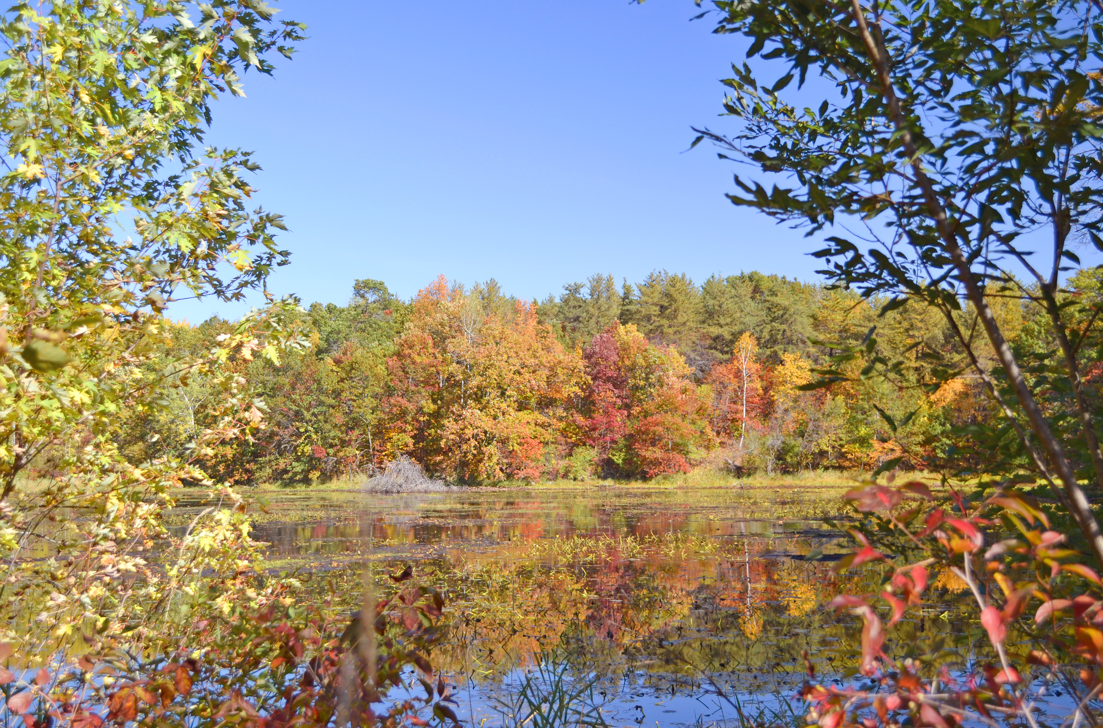 Lebanon Hill Regional Park