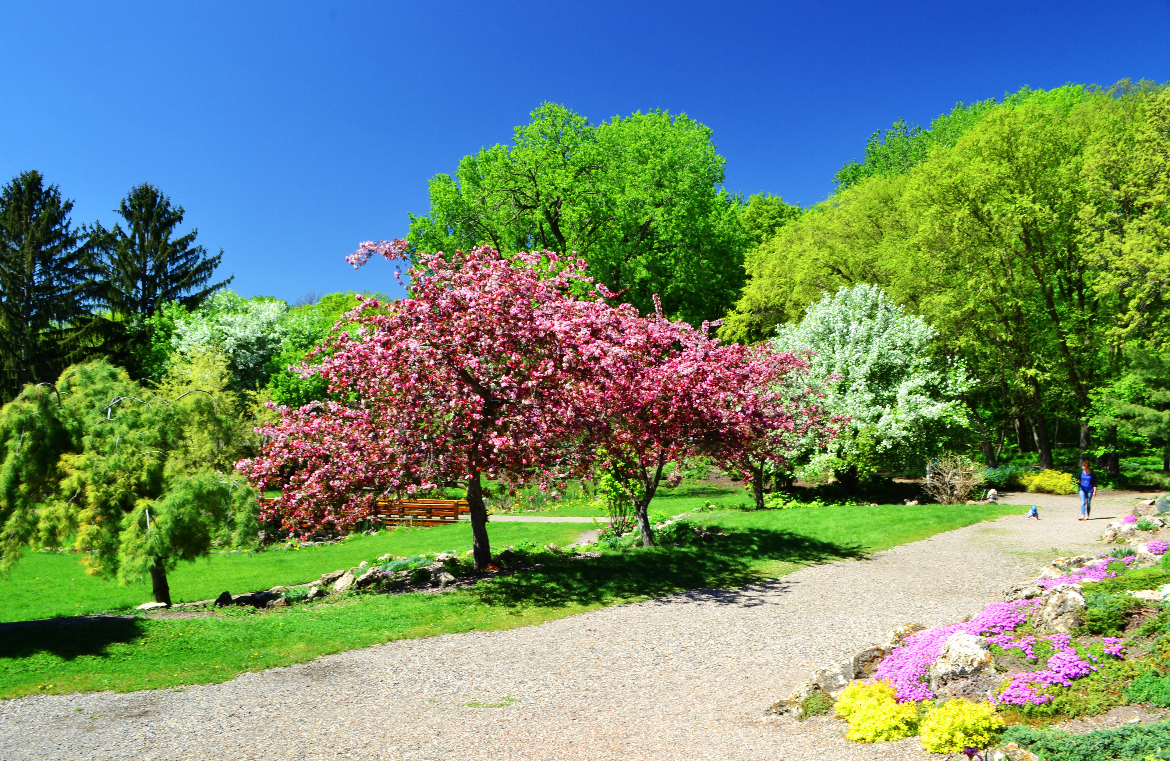Lyndale Park Gardens