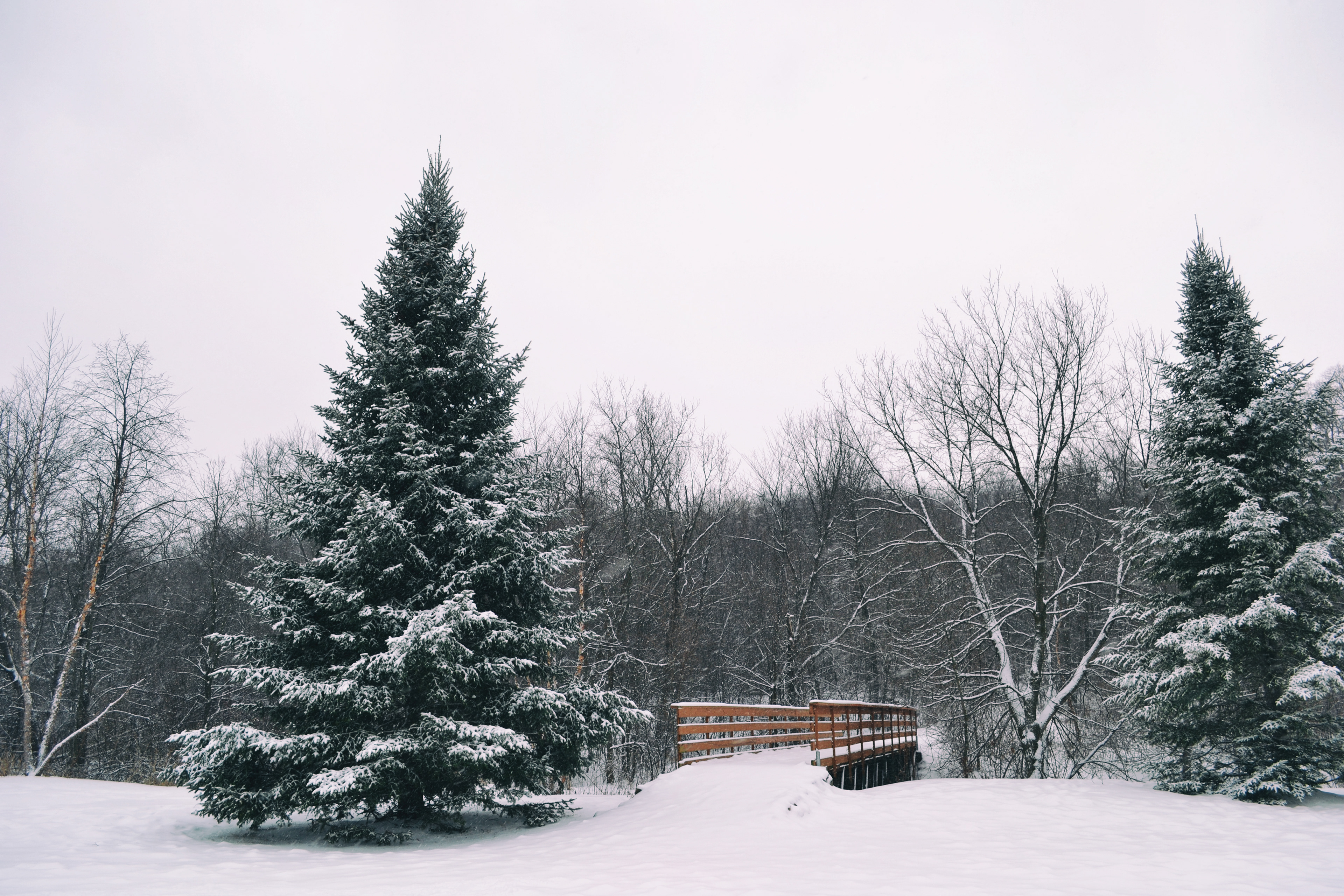 Hidden Valley Park. Savage, MN.
