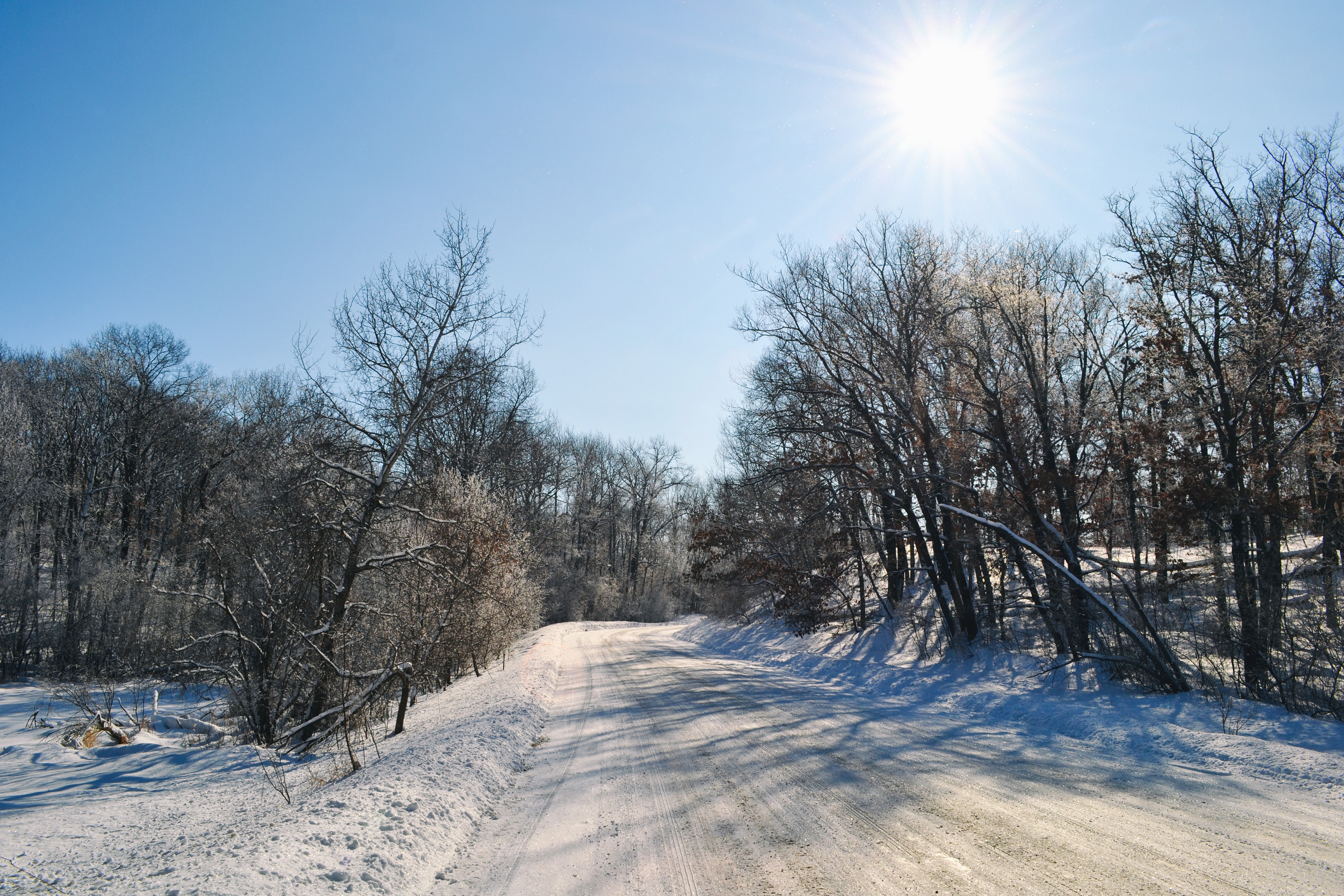 Murphy-Hanrehan Park Reserve