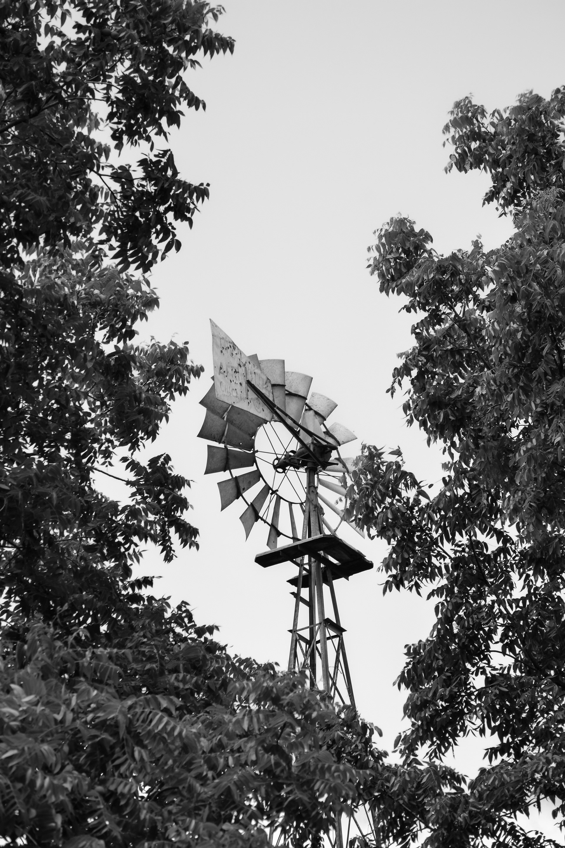 Doyle-Kennefick Regional Park. 