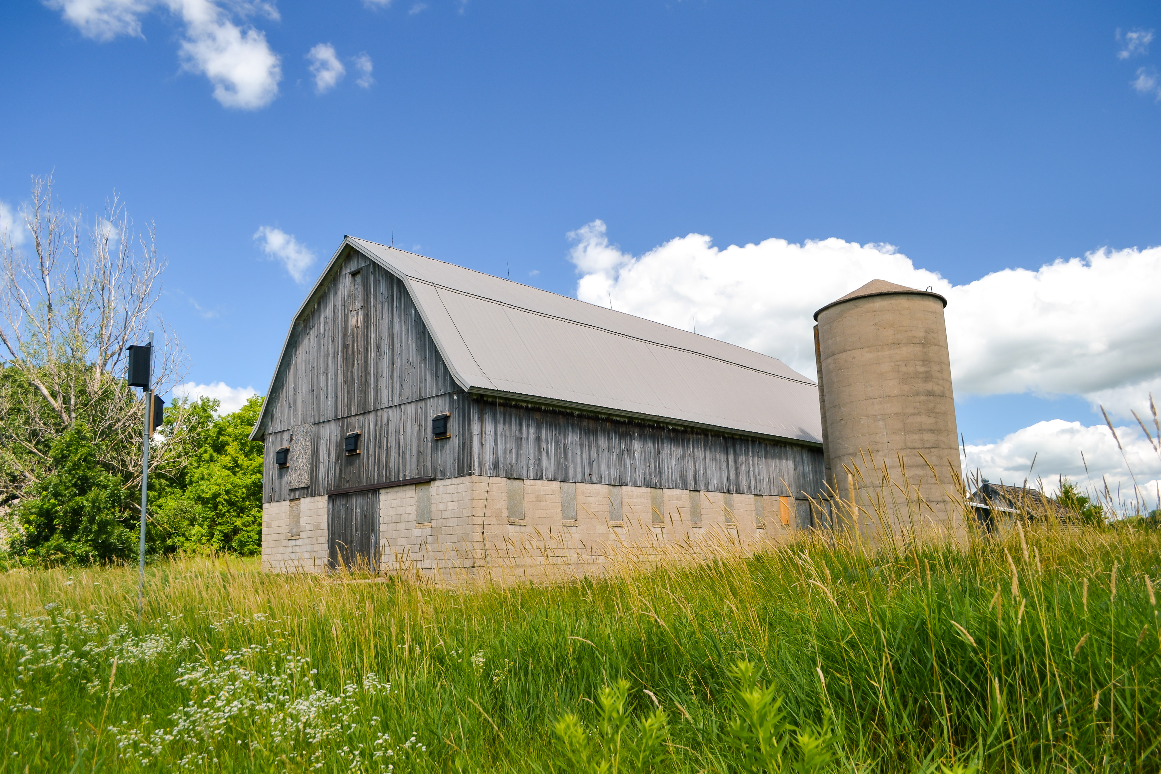 Doyle-Kennefick Regional Park