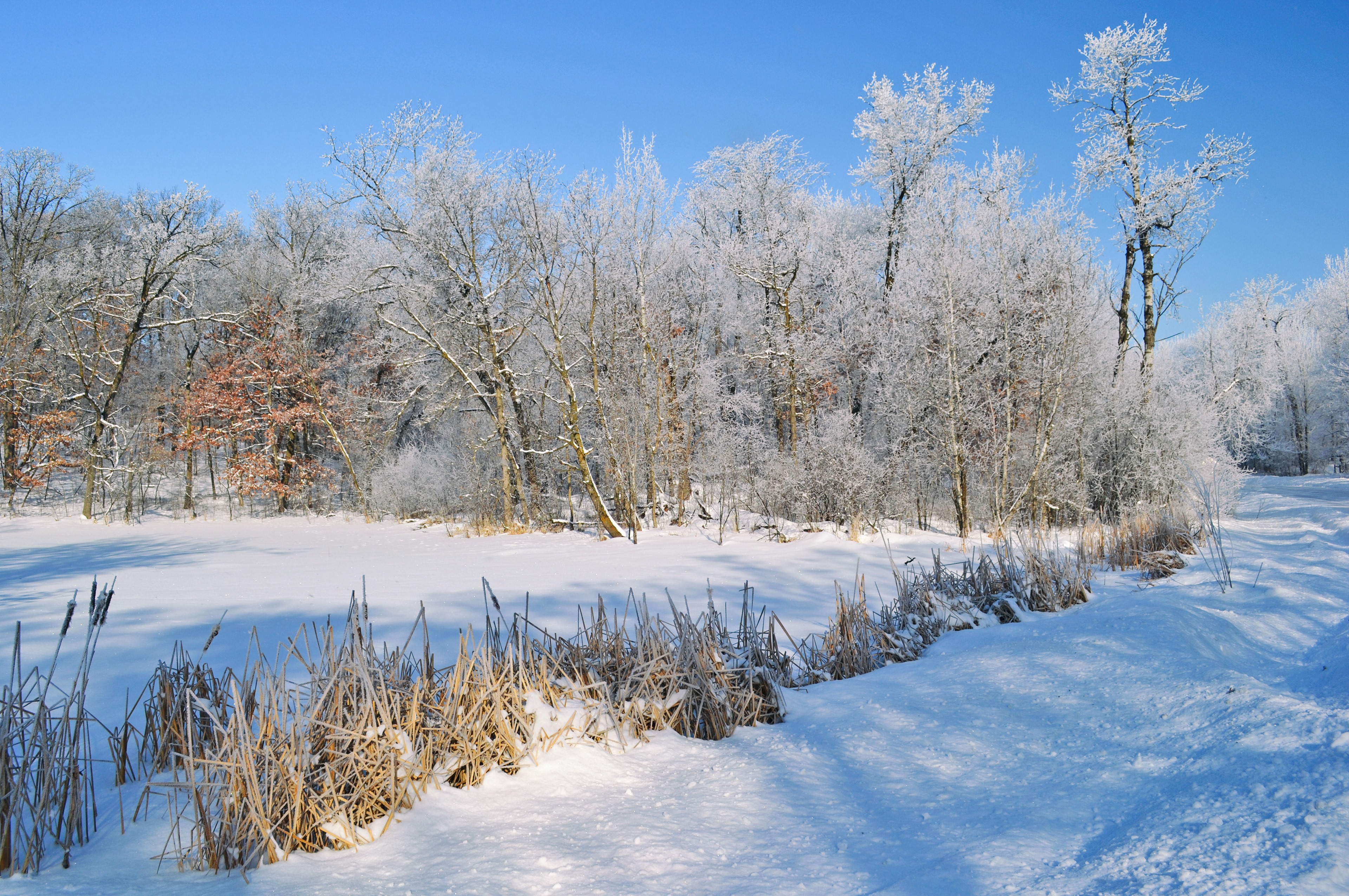 Murphy-Hanrehan Park Reserve