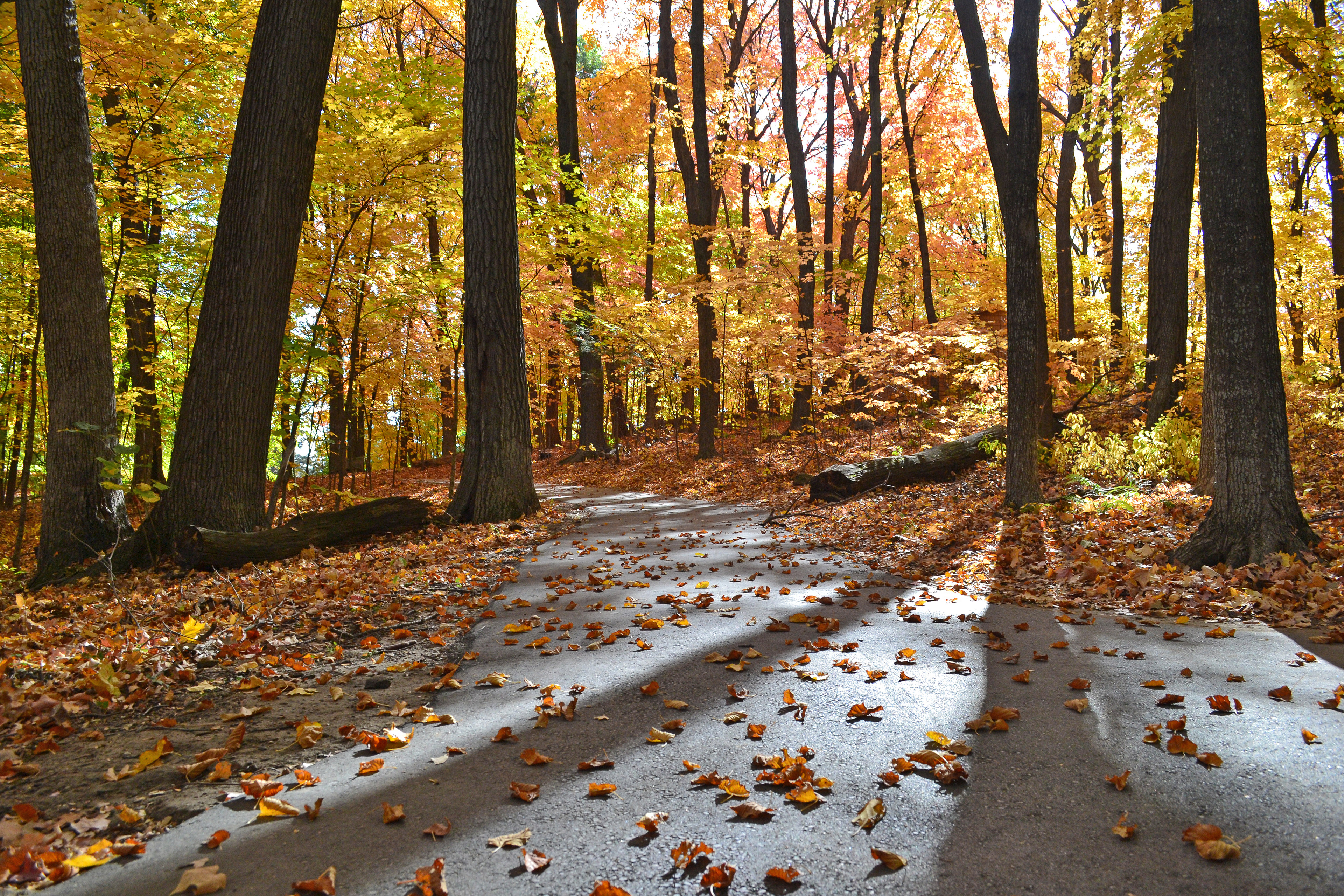Minnesota Landscape Arboretum