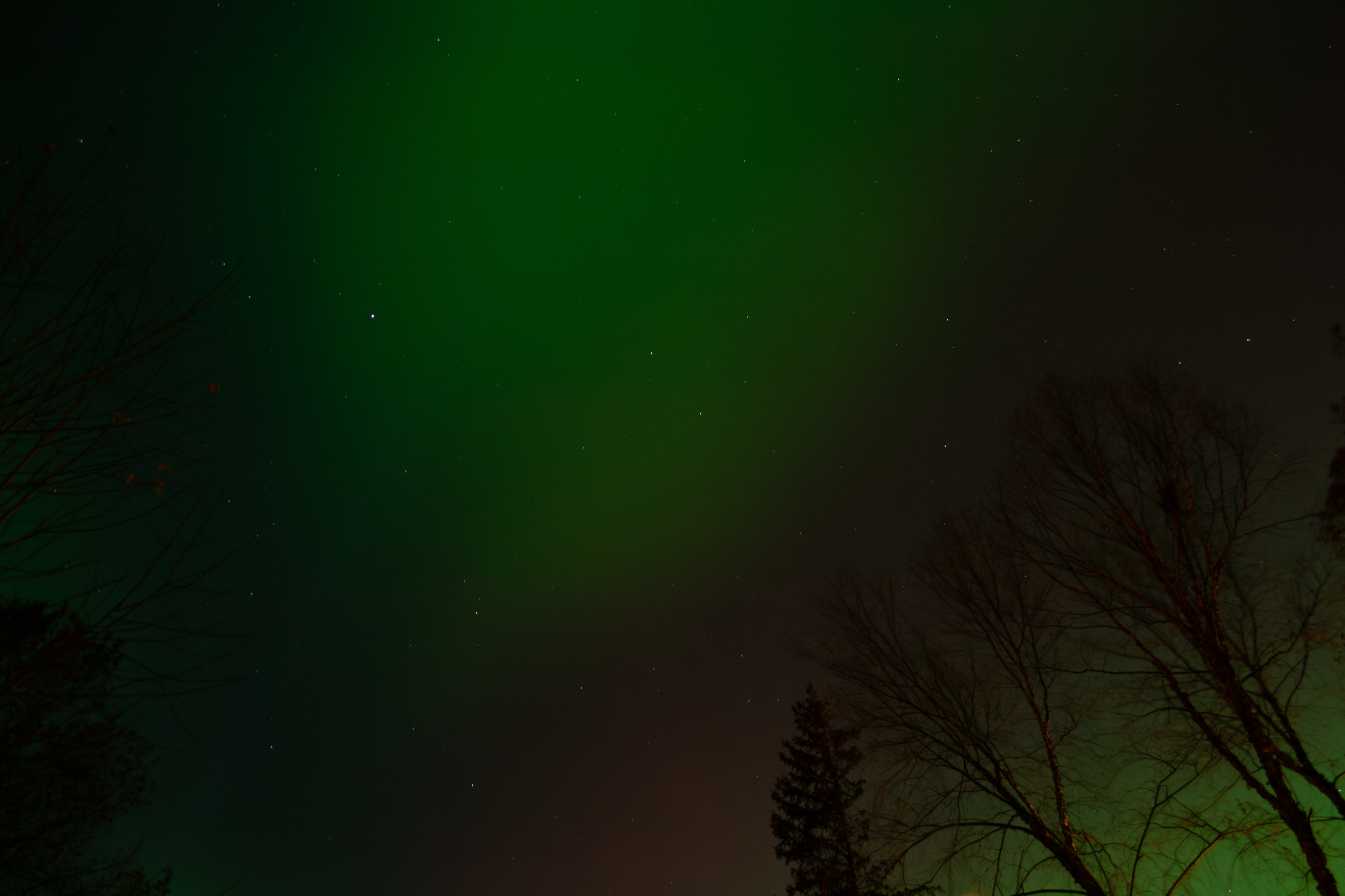 Northern Lights 11/11/2025. Savage, Minnesota.