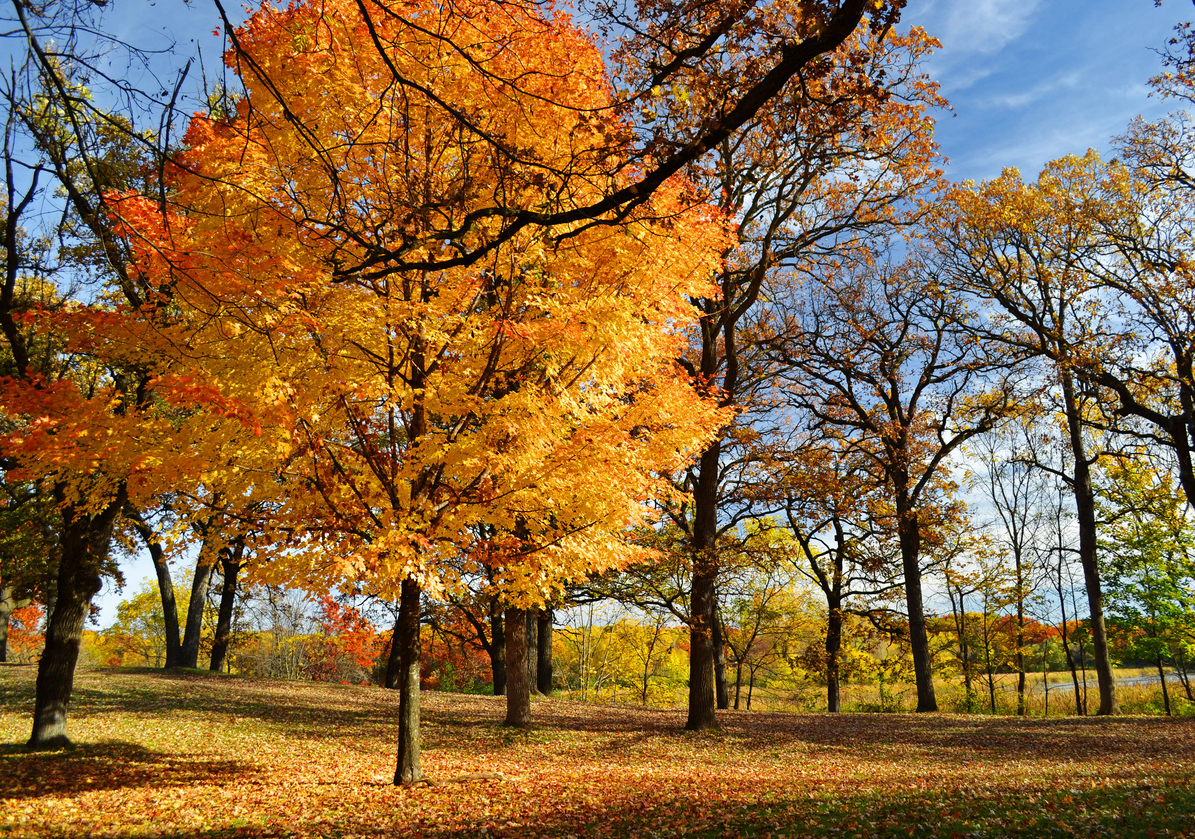 Ritter Farm Park. Lakeville, Minnesota.