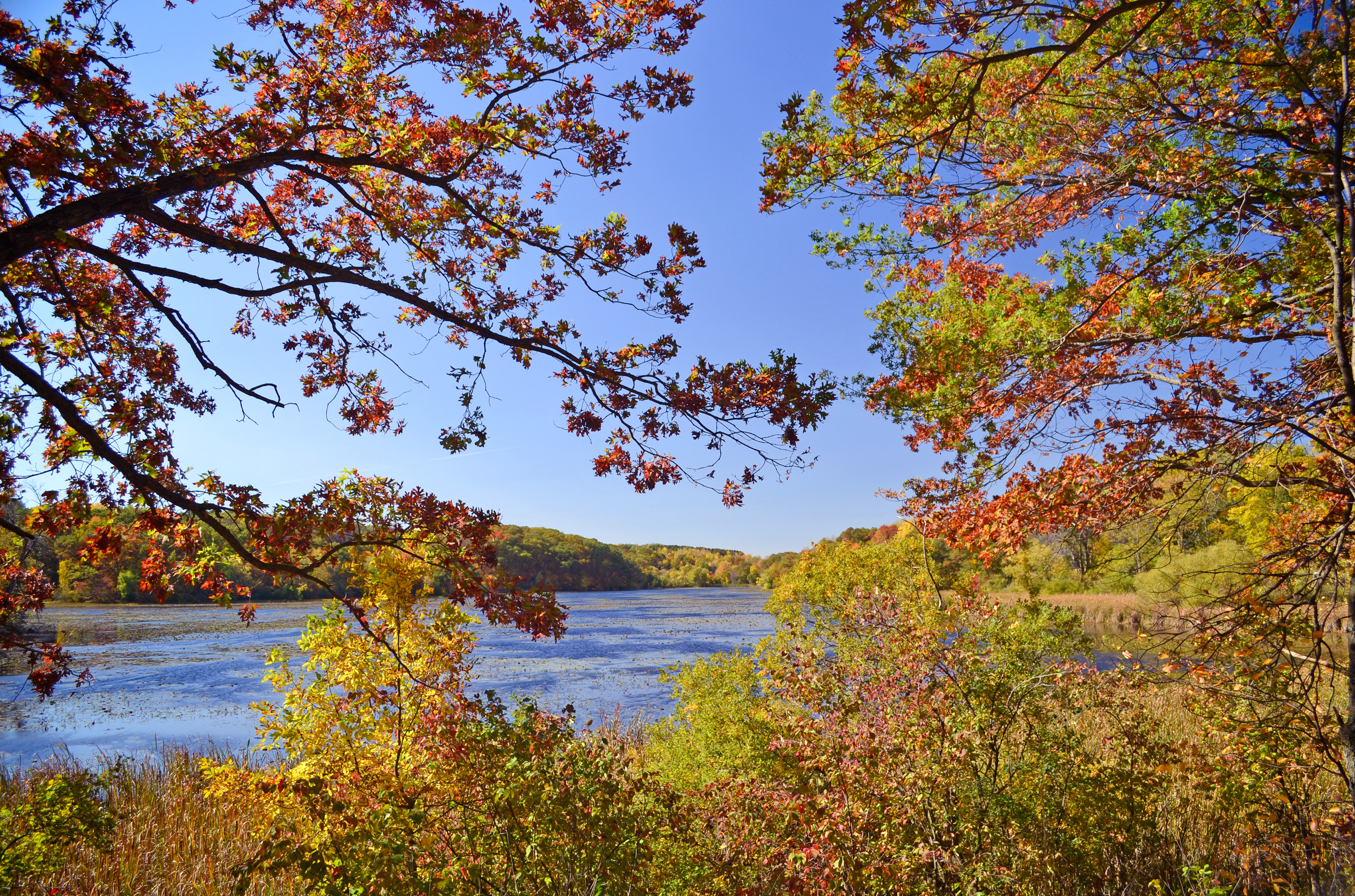 Lebanon Hills Regional Park