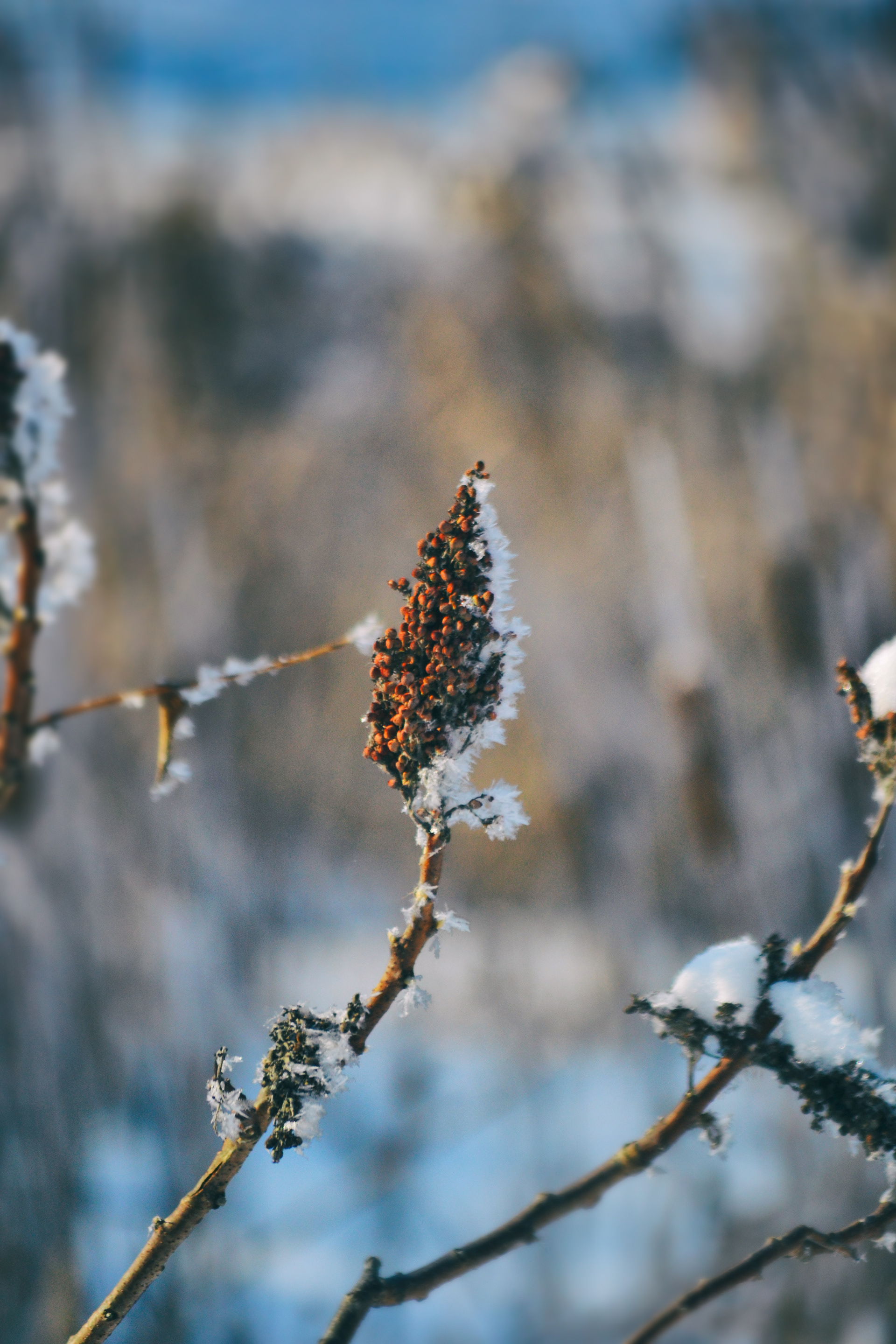 Murphy-Hanrehan Park Reserve