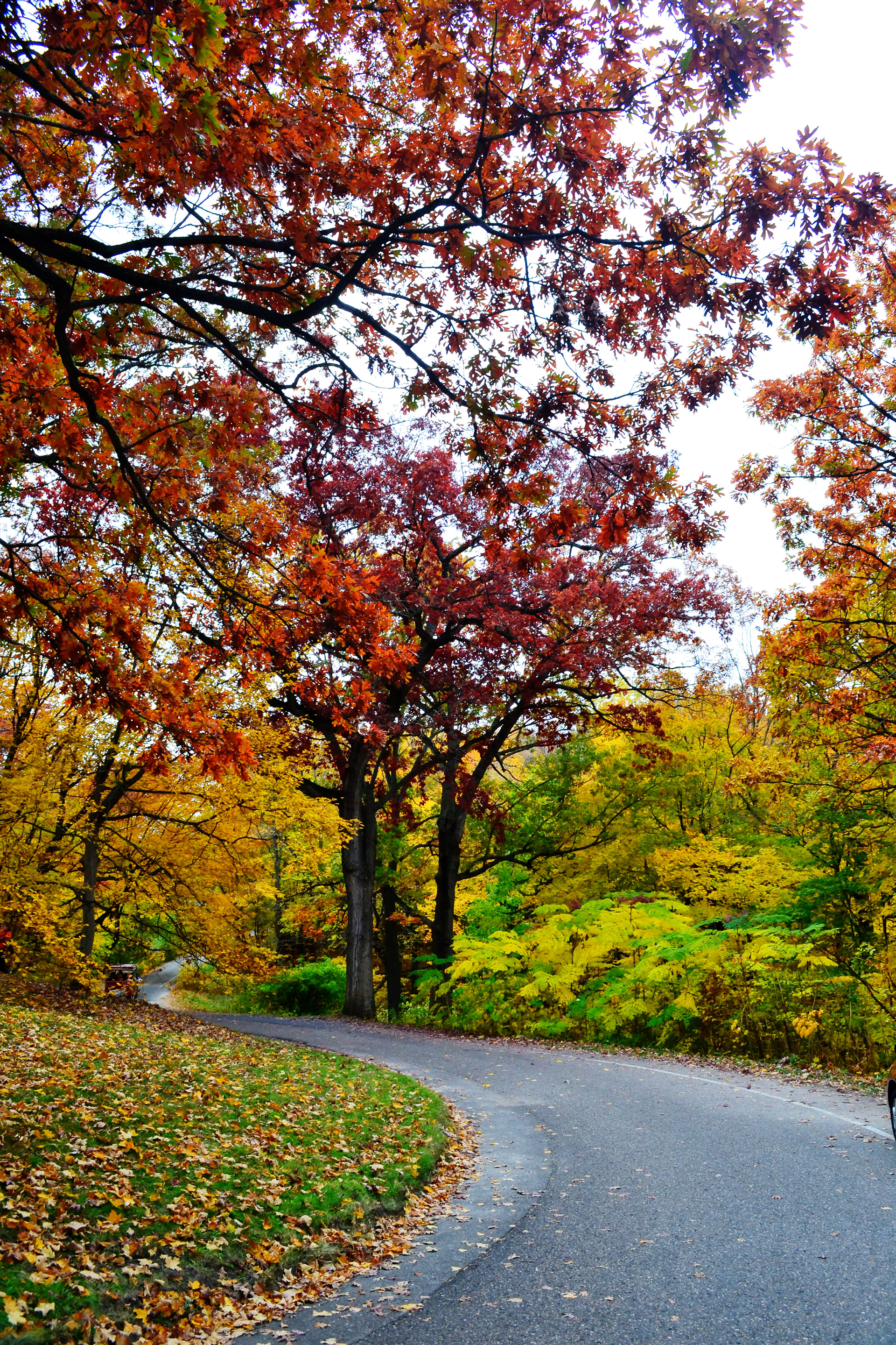 Minnesota Landscape Arboretum