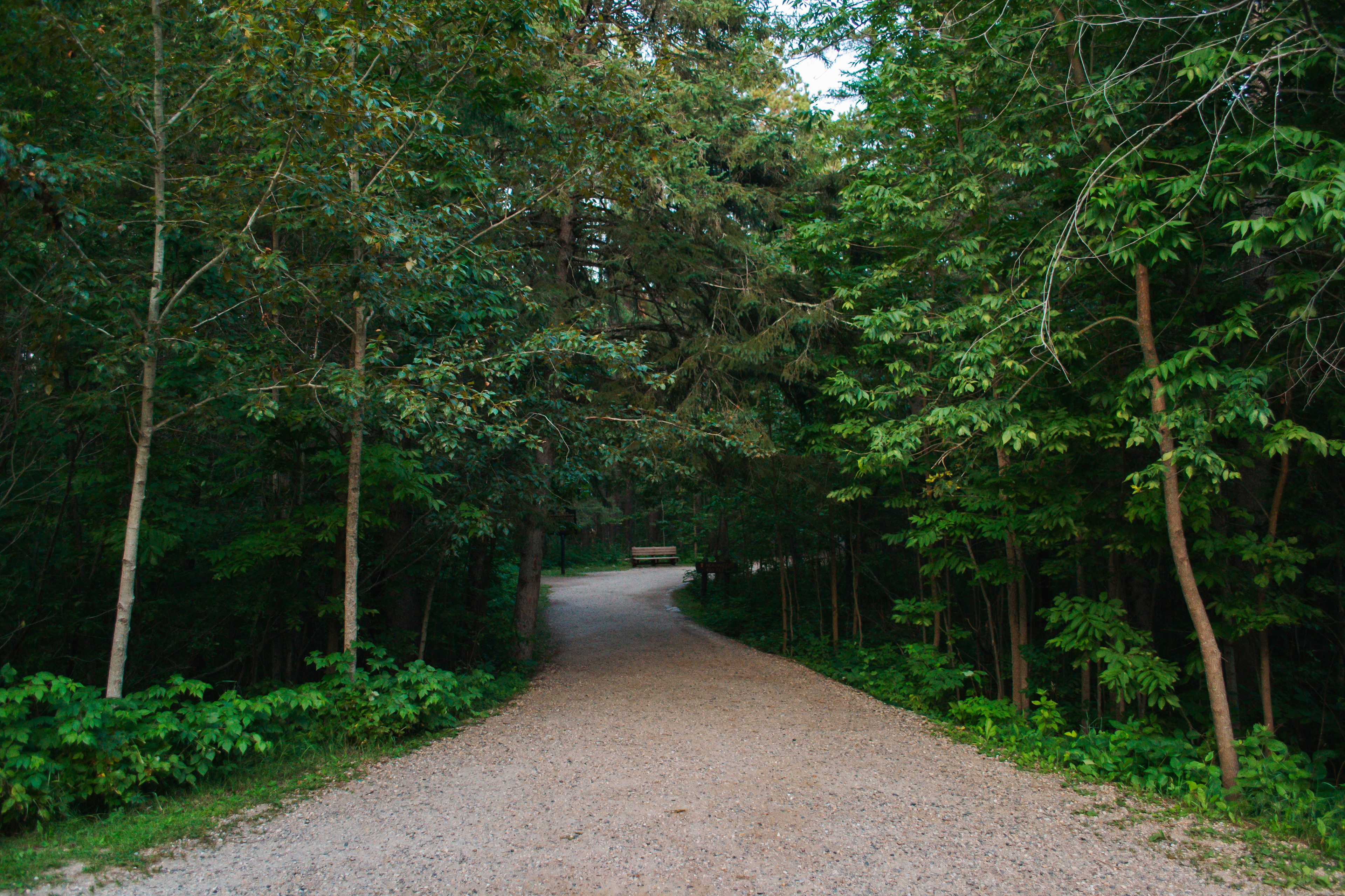 Itasca State Park.