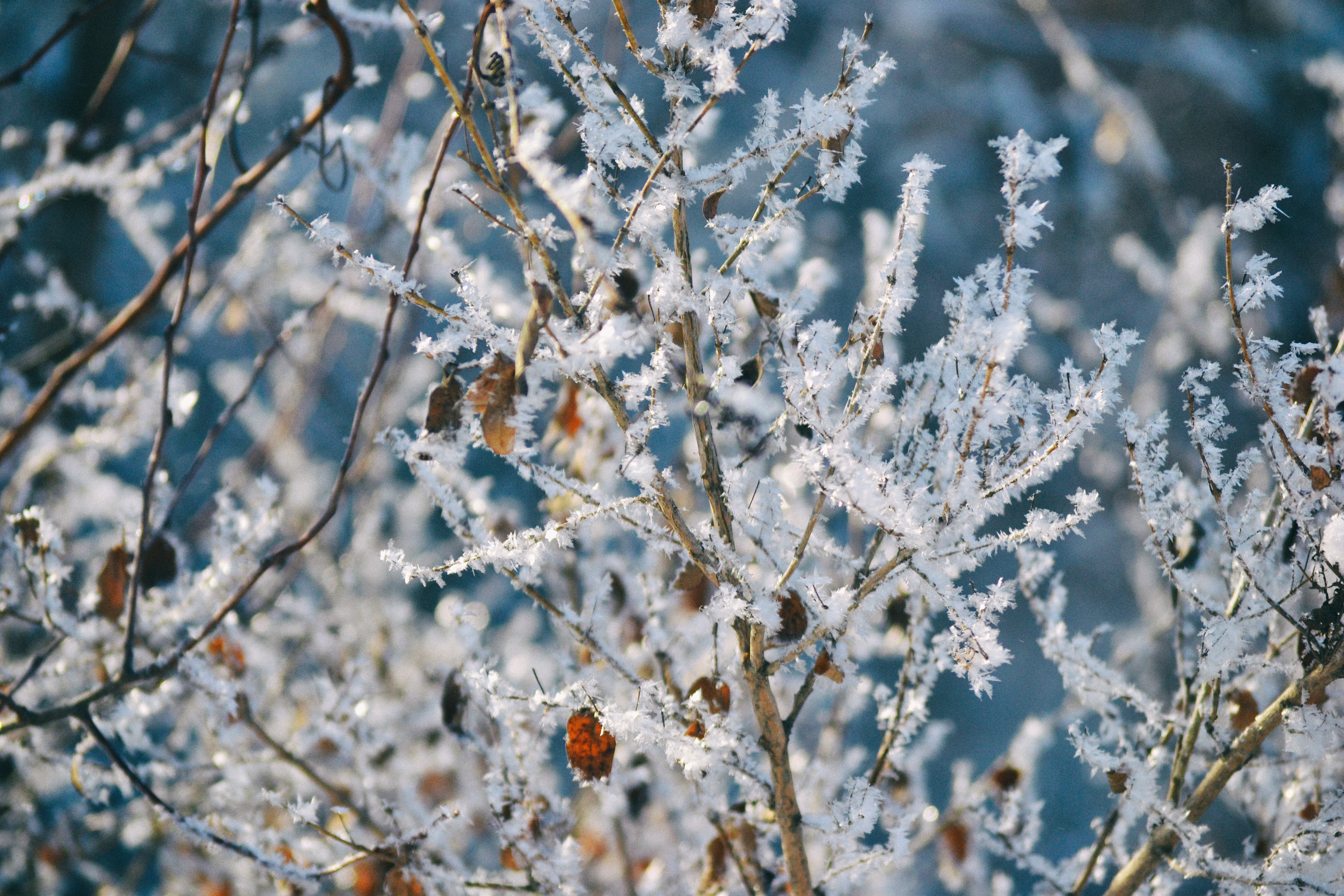 Murphy-Hanrehan Park Reserve