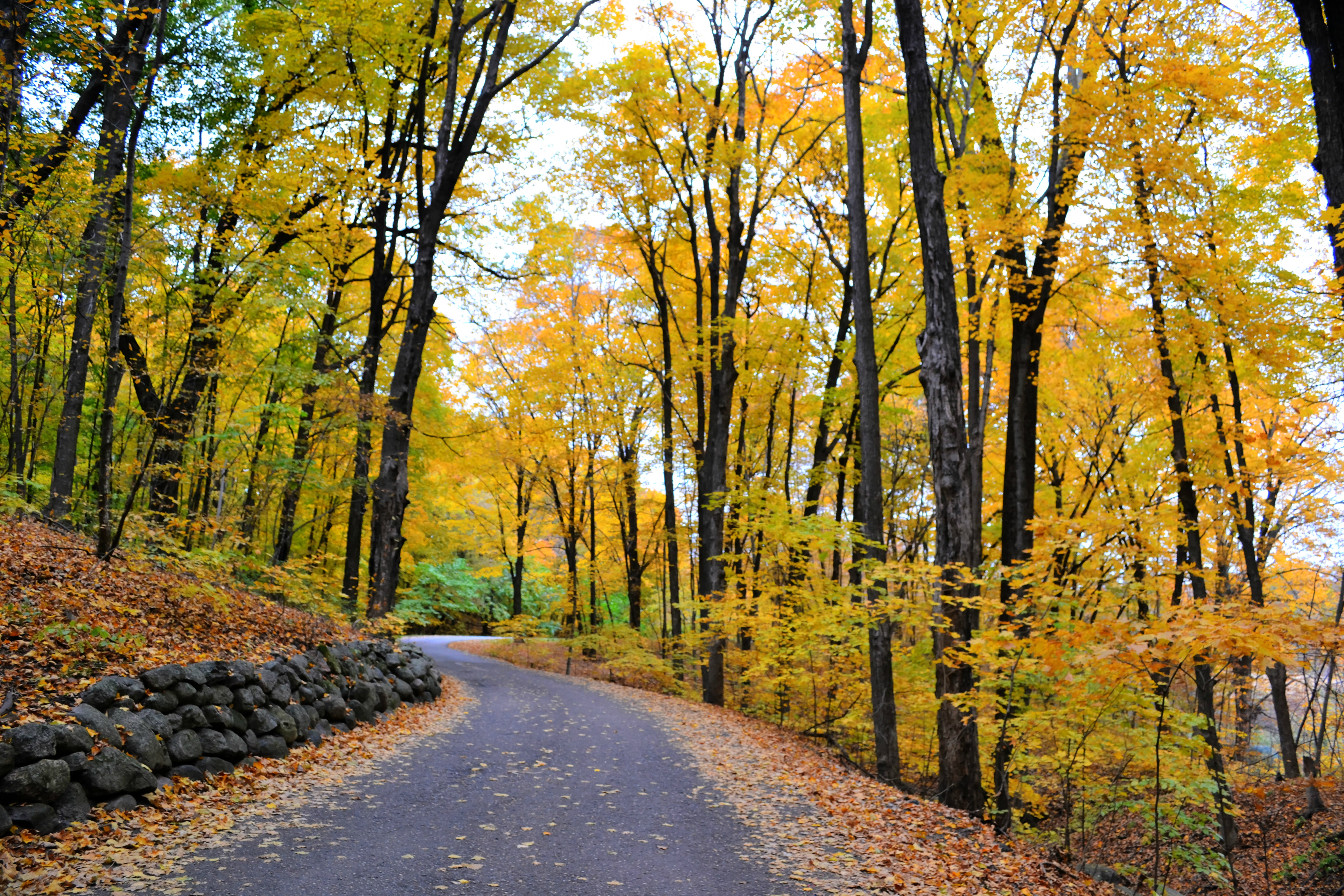 Minnesota Landscape Arboretum