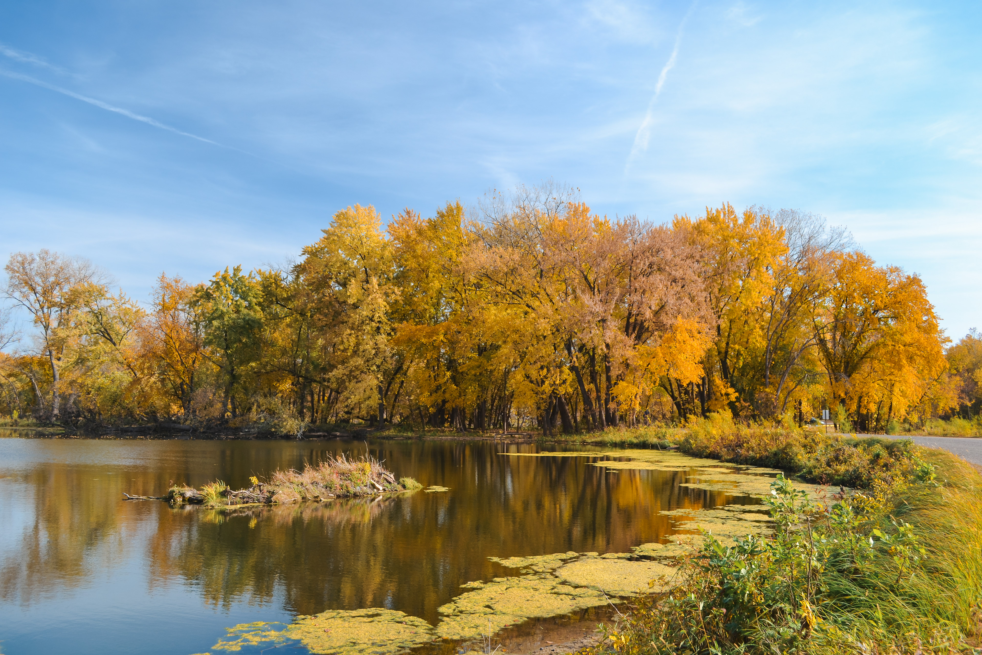 Fort Snelling State Park. (2024).
