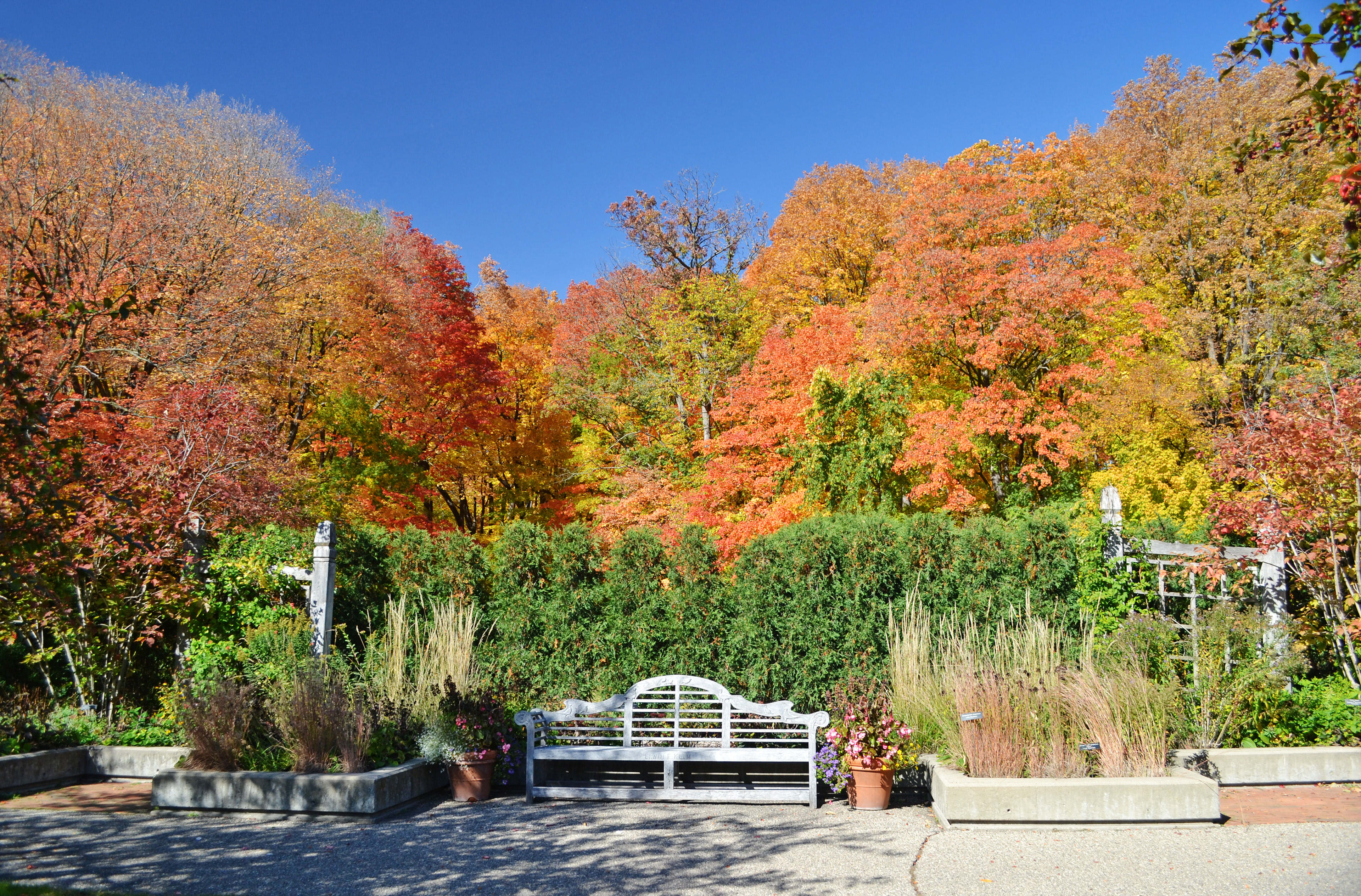 Minnesota Landscape Arboretum