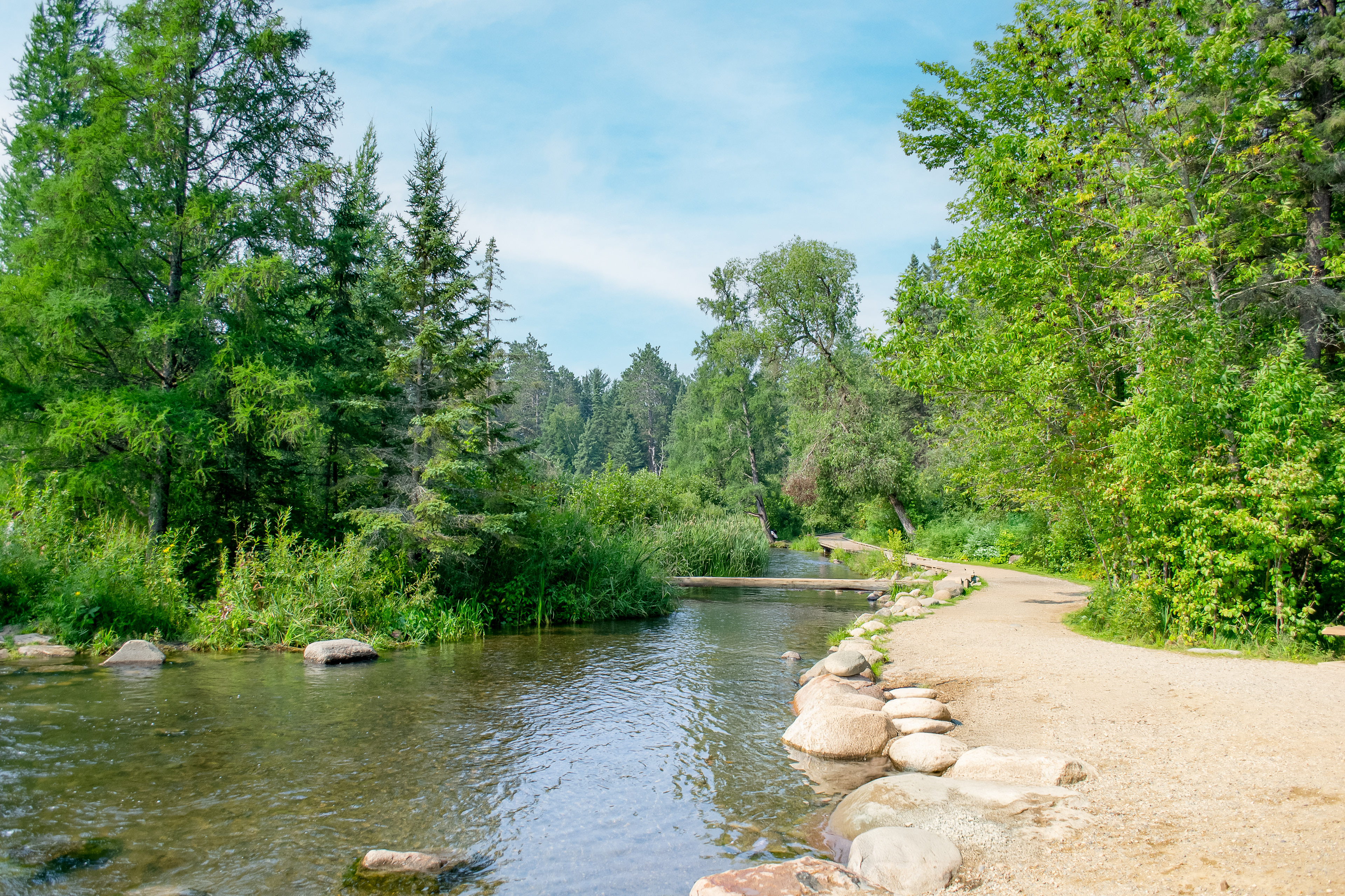 Mississippi River Headwaters in Itasca State Park.
