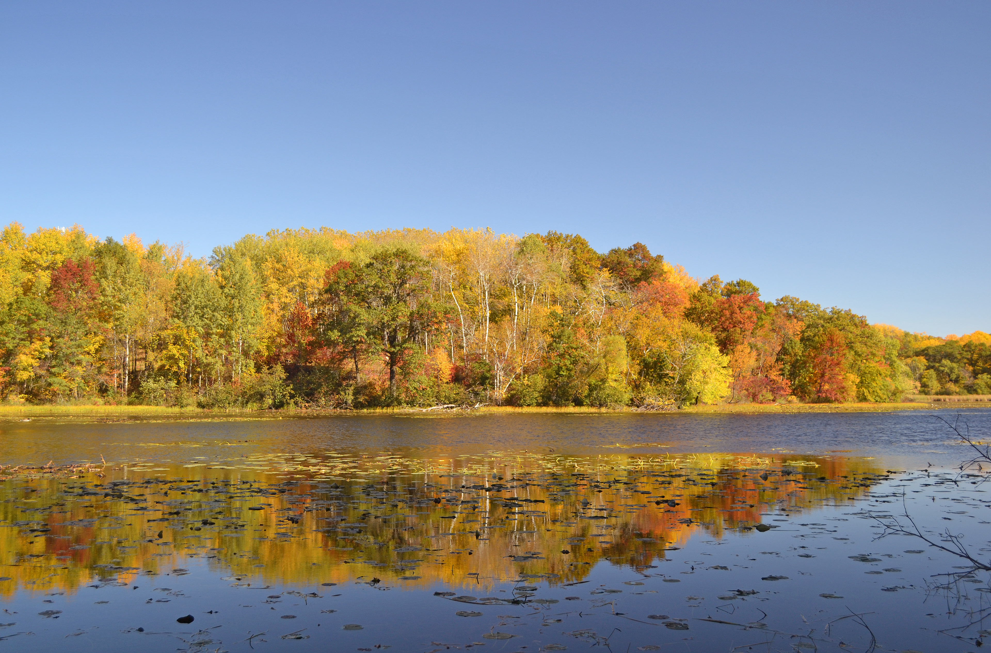 Lebanon Hills Regional Park