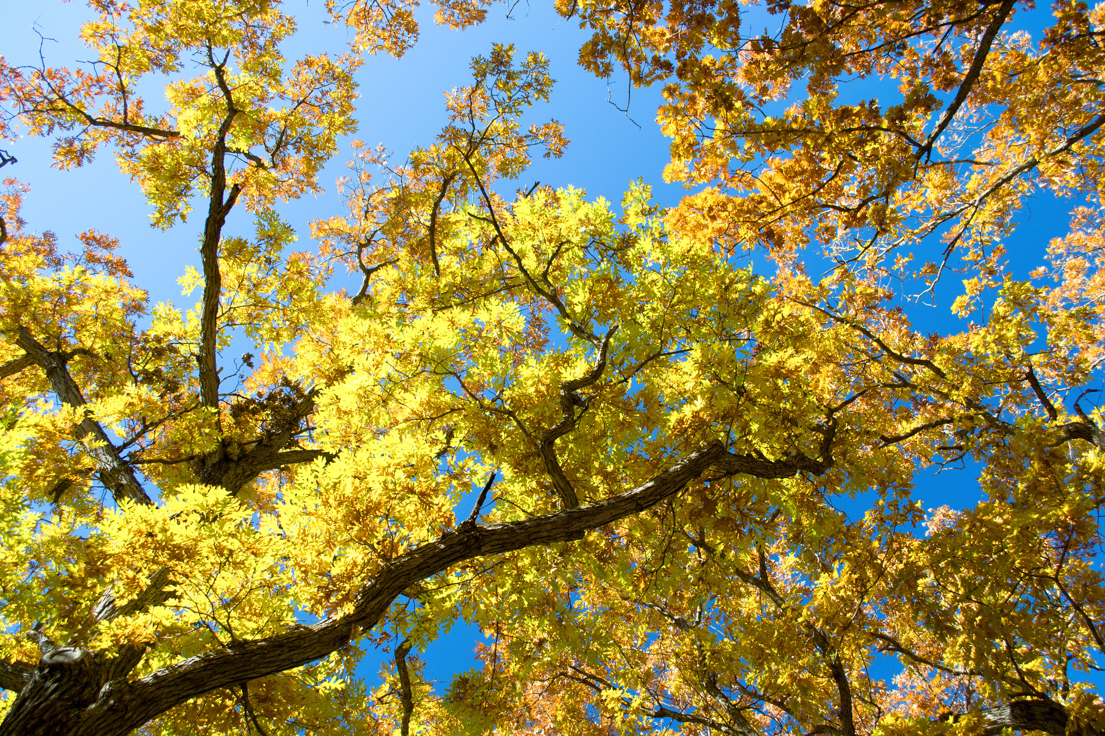 Lebanon Hills Regional Park