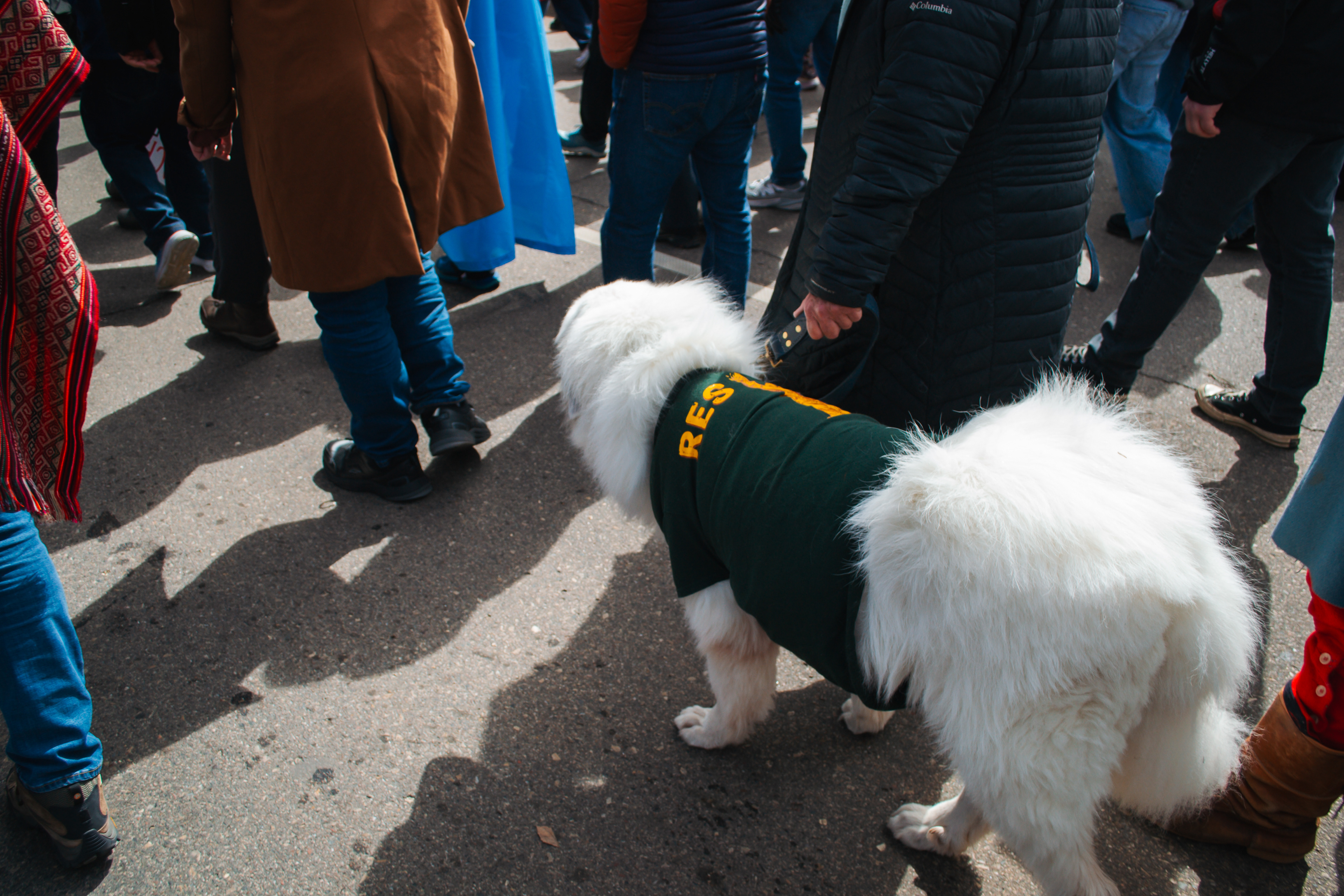 No Kings. St. Paul Minnesota.