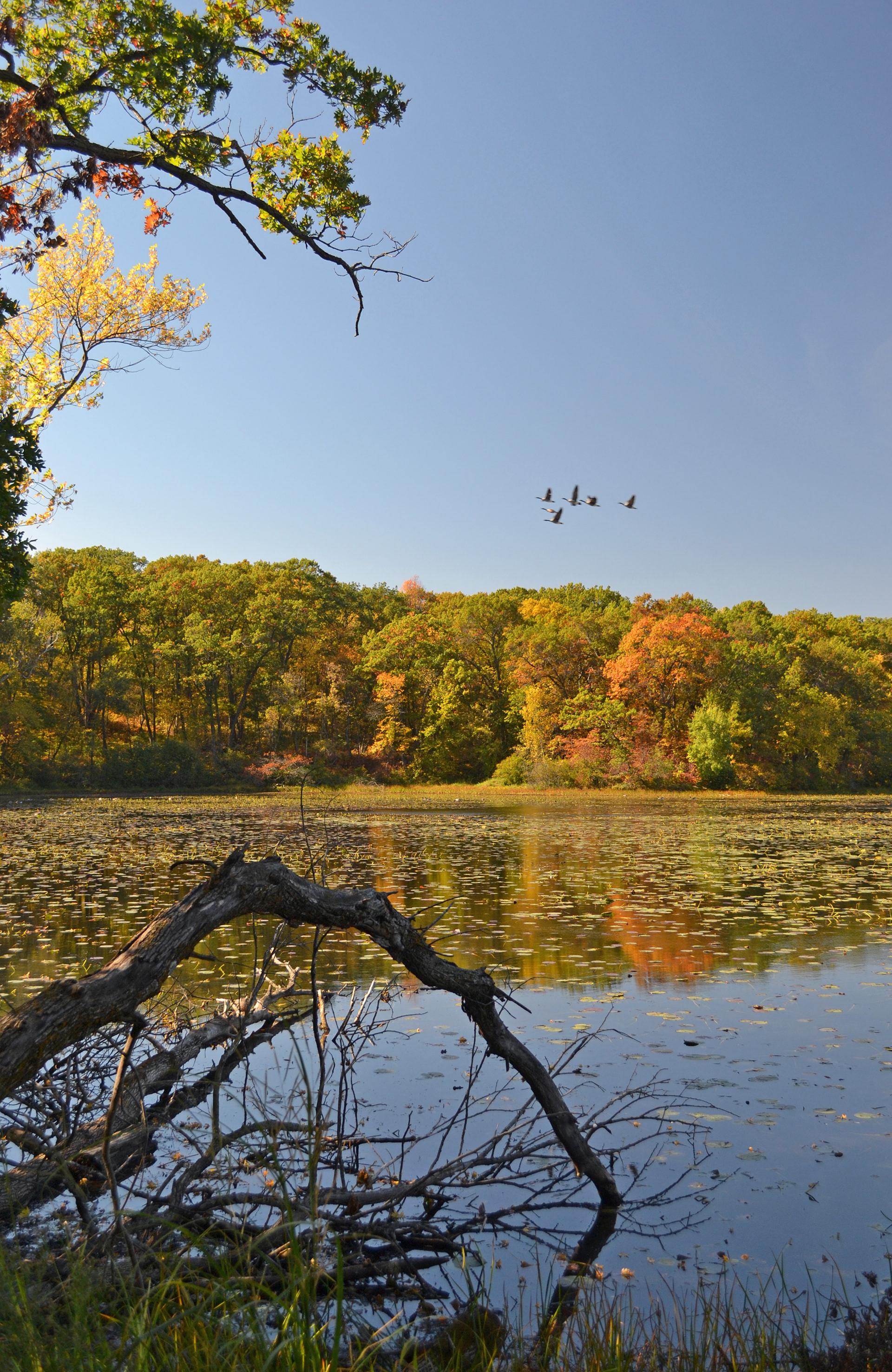 Lebanon Hill Regional Park