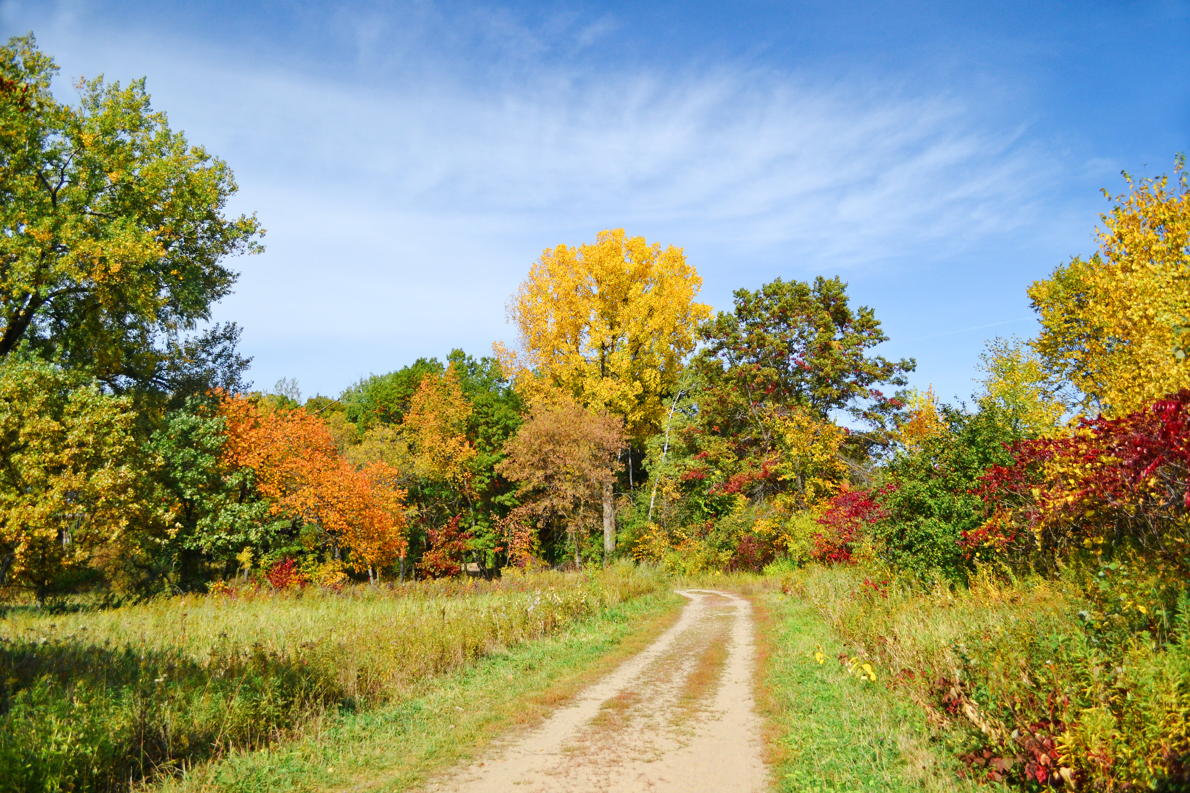 Murphy-Hanrehan Park Reserve