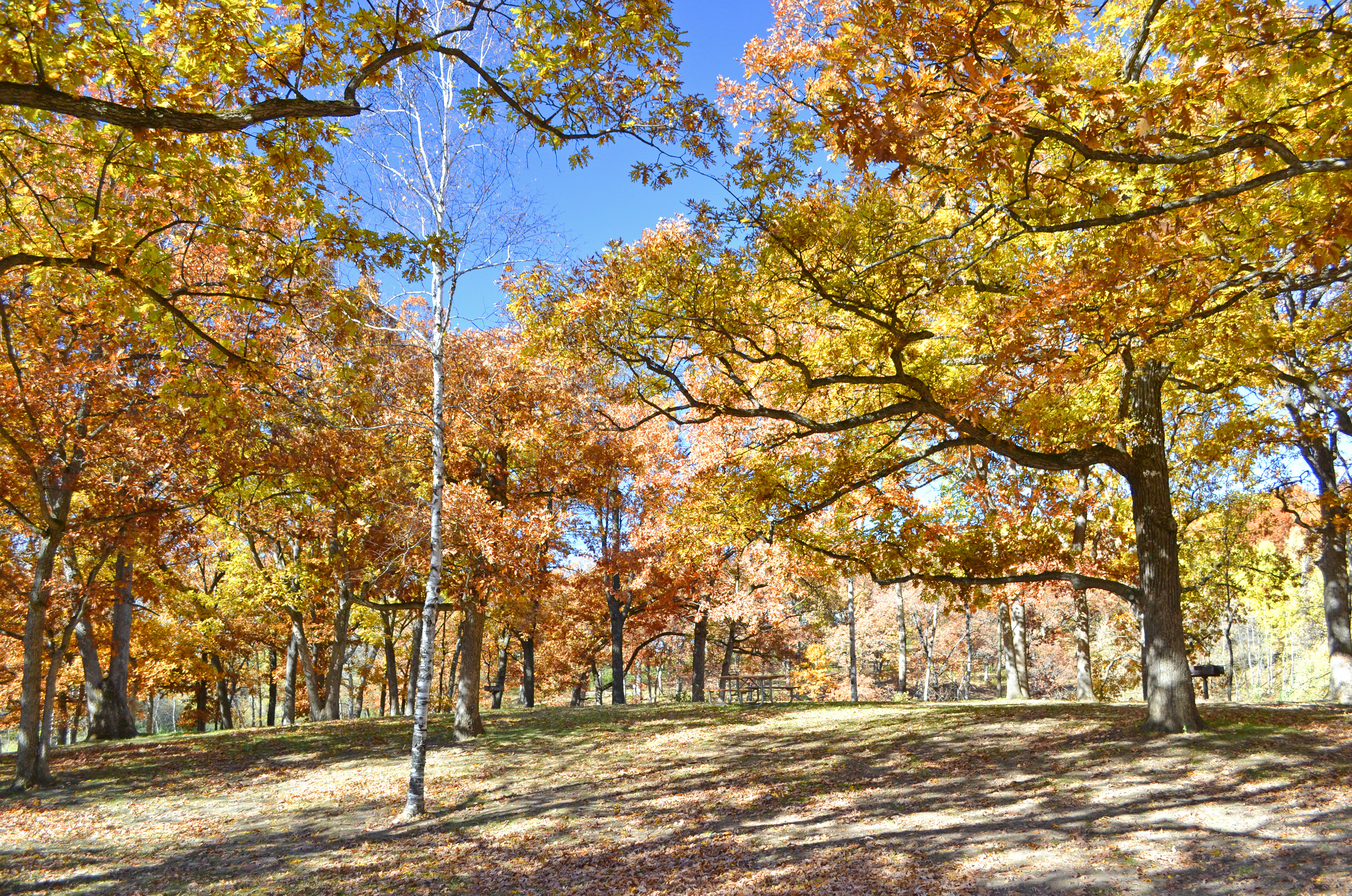 Lebanon Hills Regional Park