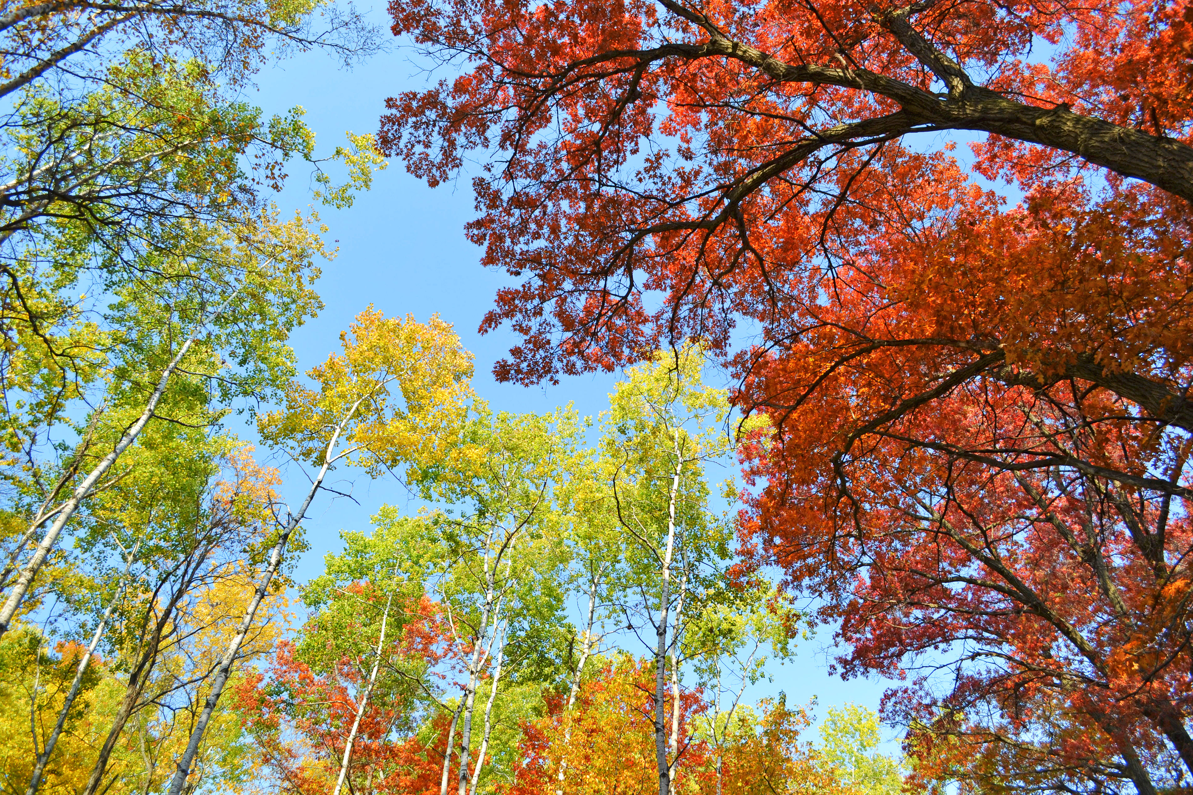 Lebanon Hill Regional Park