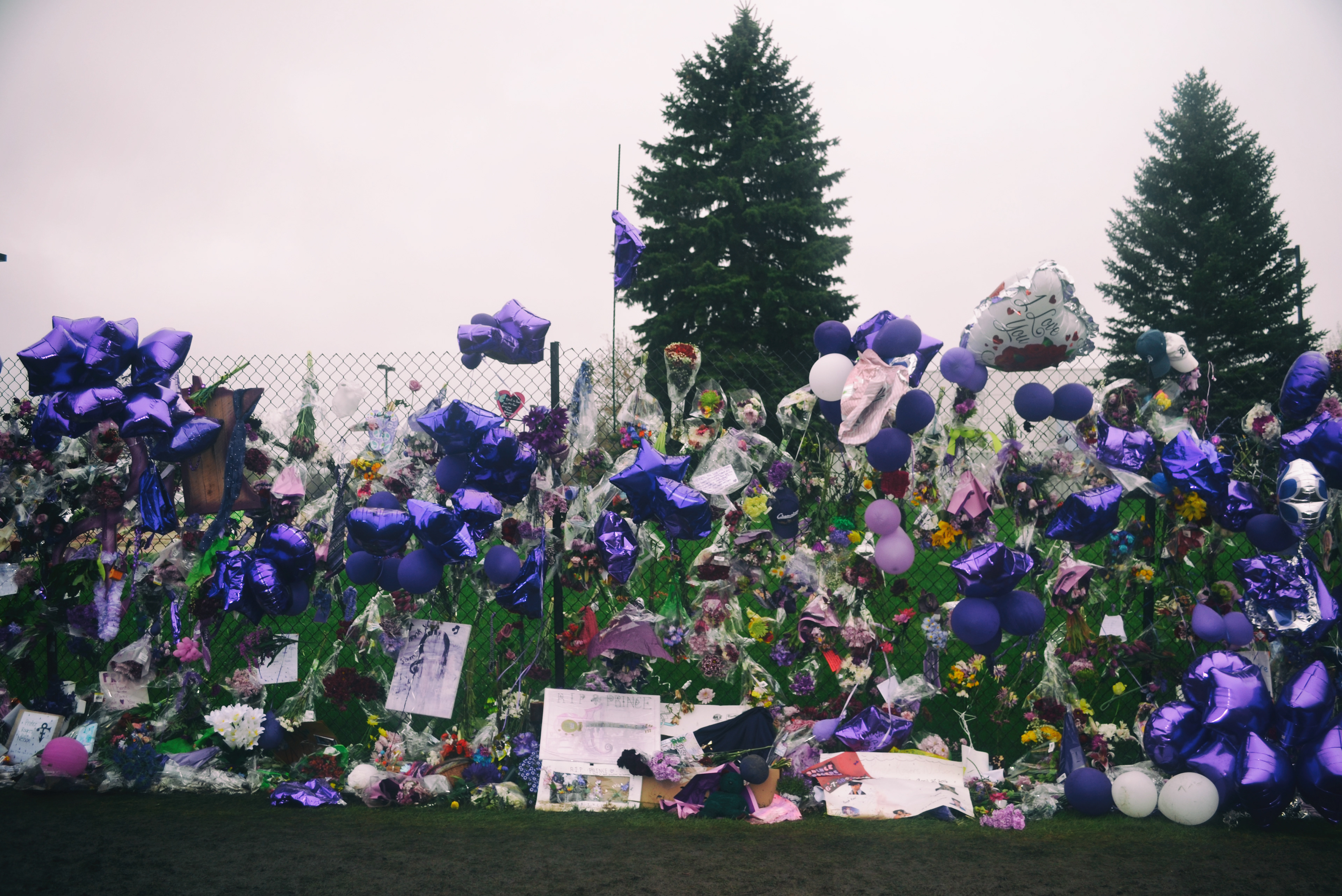 Paisley Park, Prince Memorial. 4/26/2016