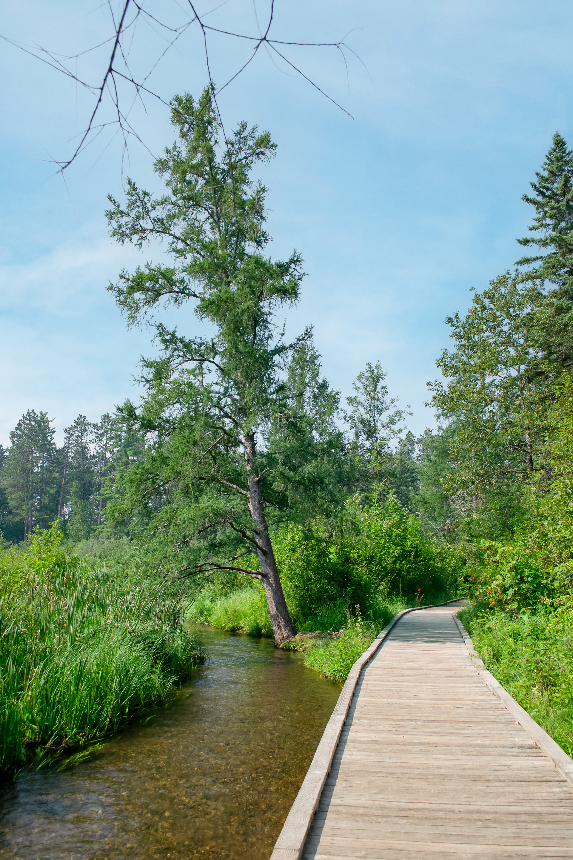 Mississippi River Headwaters in Itasca State Park.