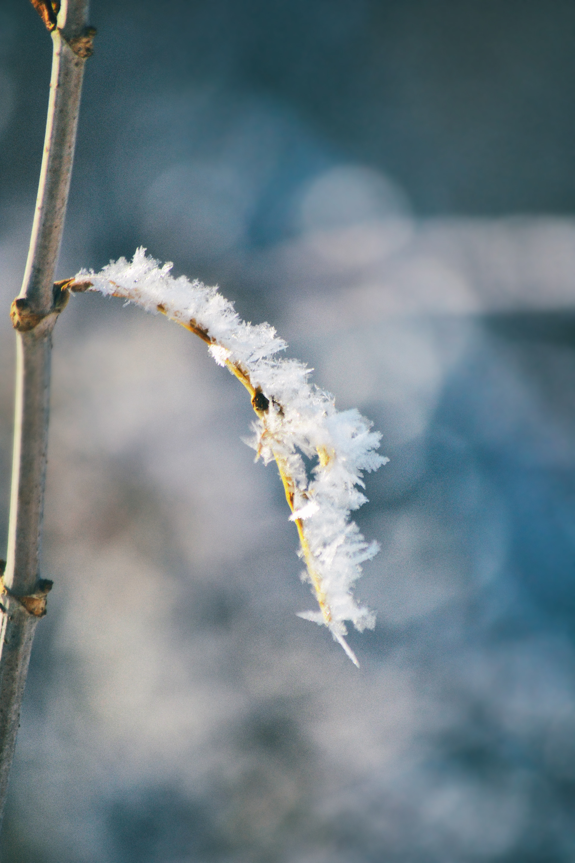 Murphy-Hanrehan Park Reserve