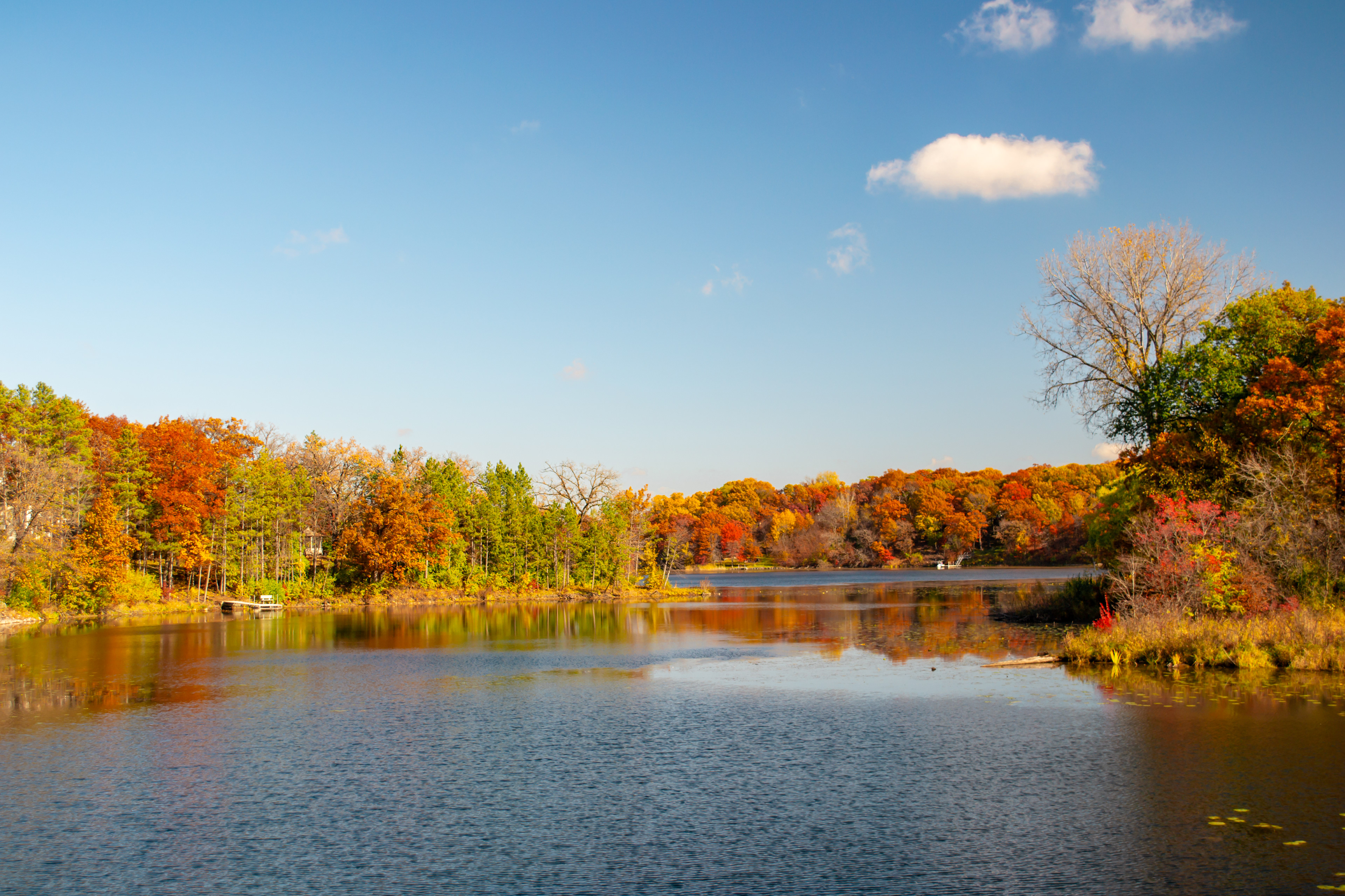 Cates Lake. Savage, MN.