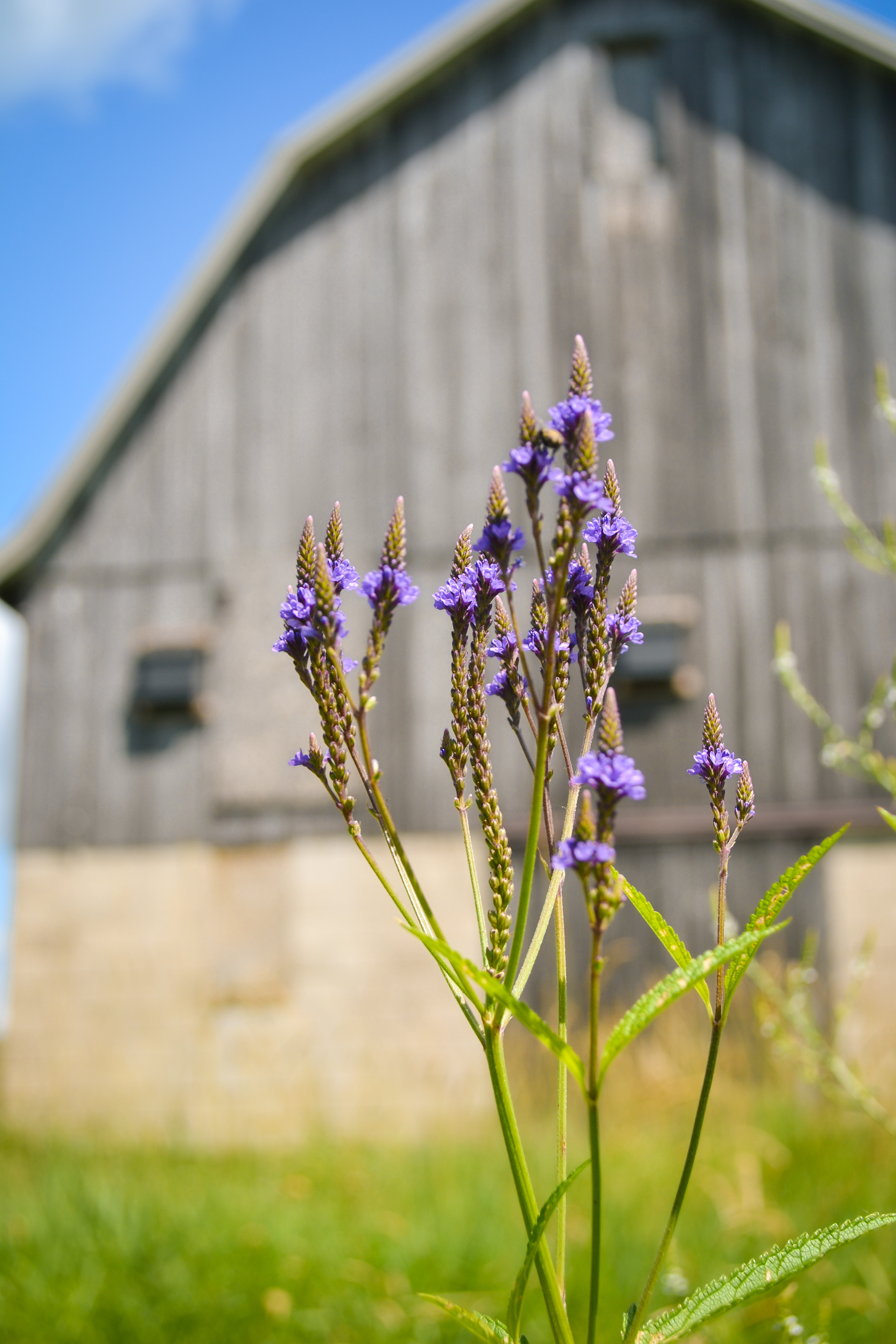 Doyle-Kennefick Regional Park