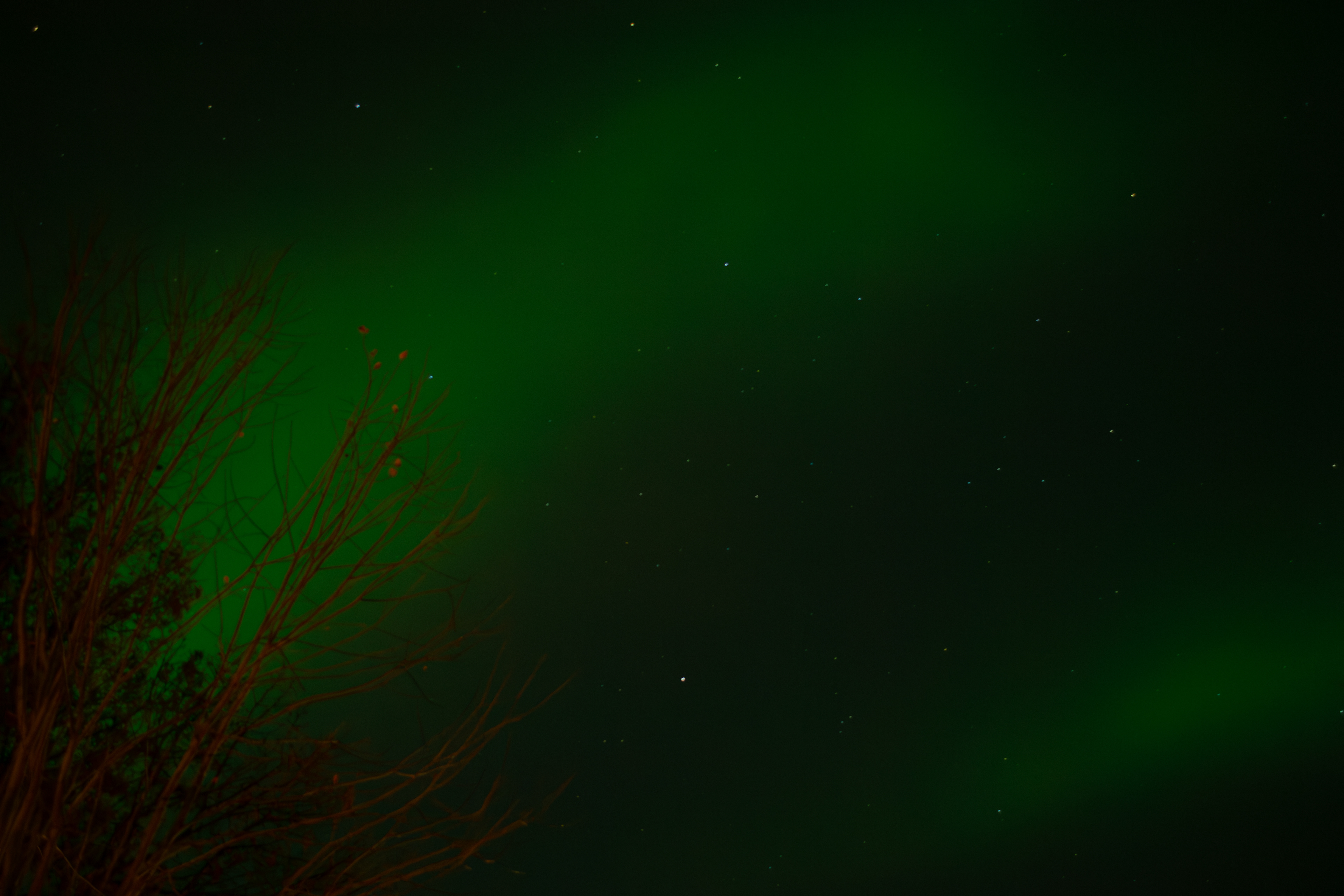 Northern Lights 11/11/2025. Savage, Minnesota.