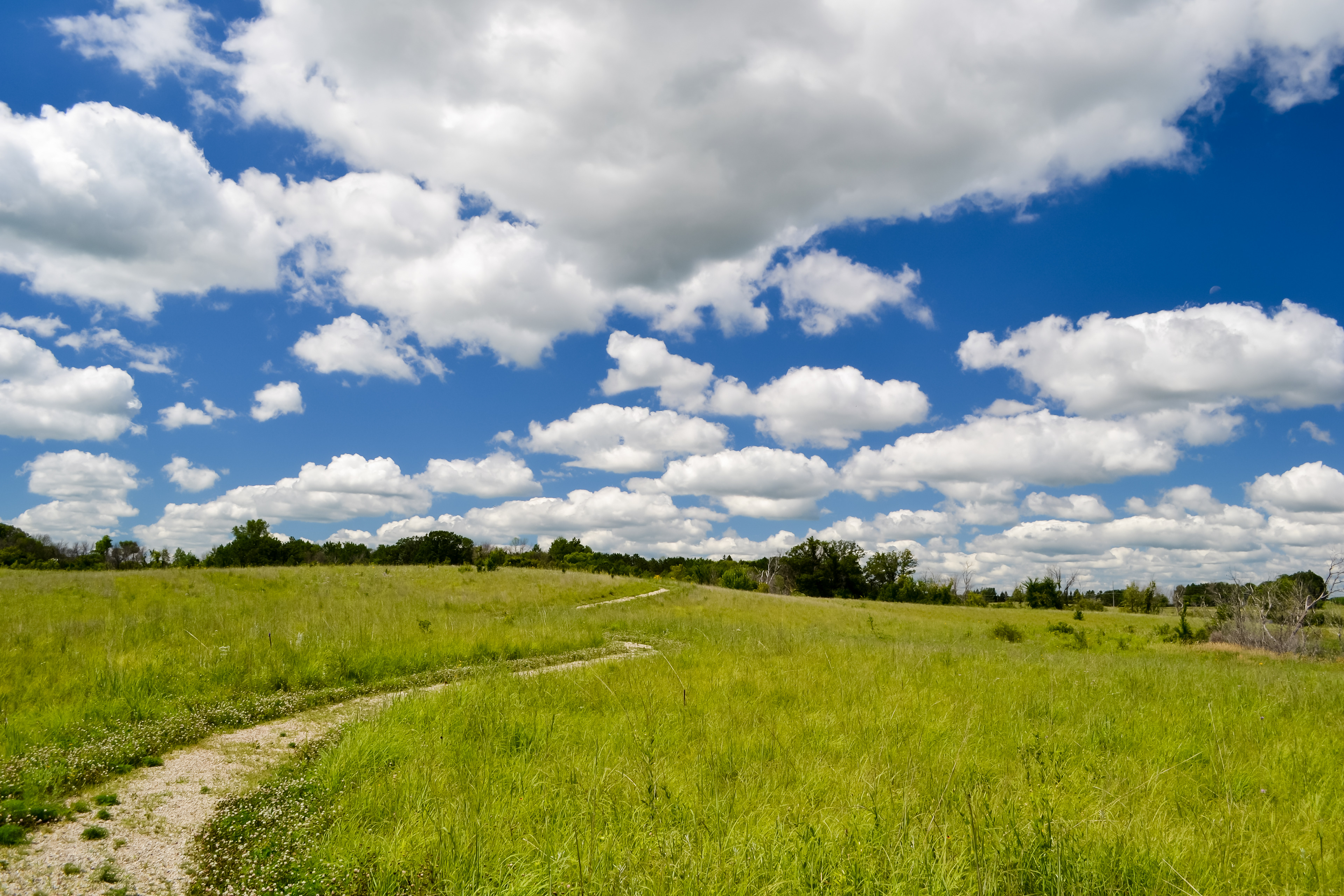 Doyle-Kennefick Regional Park