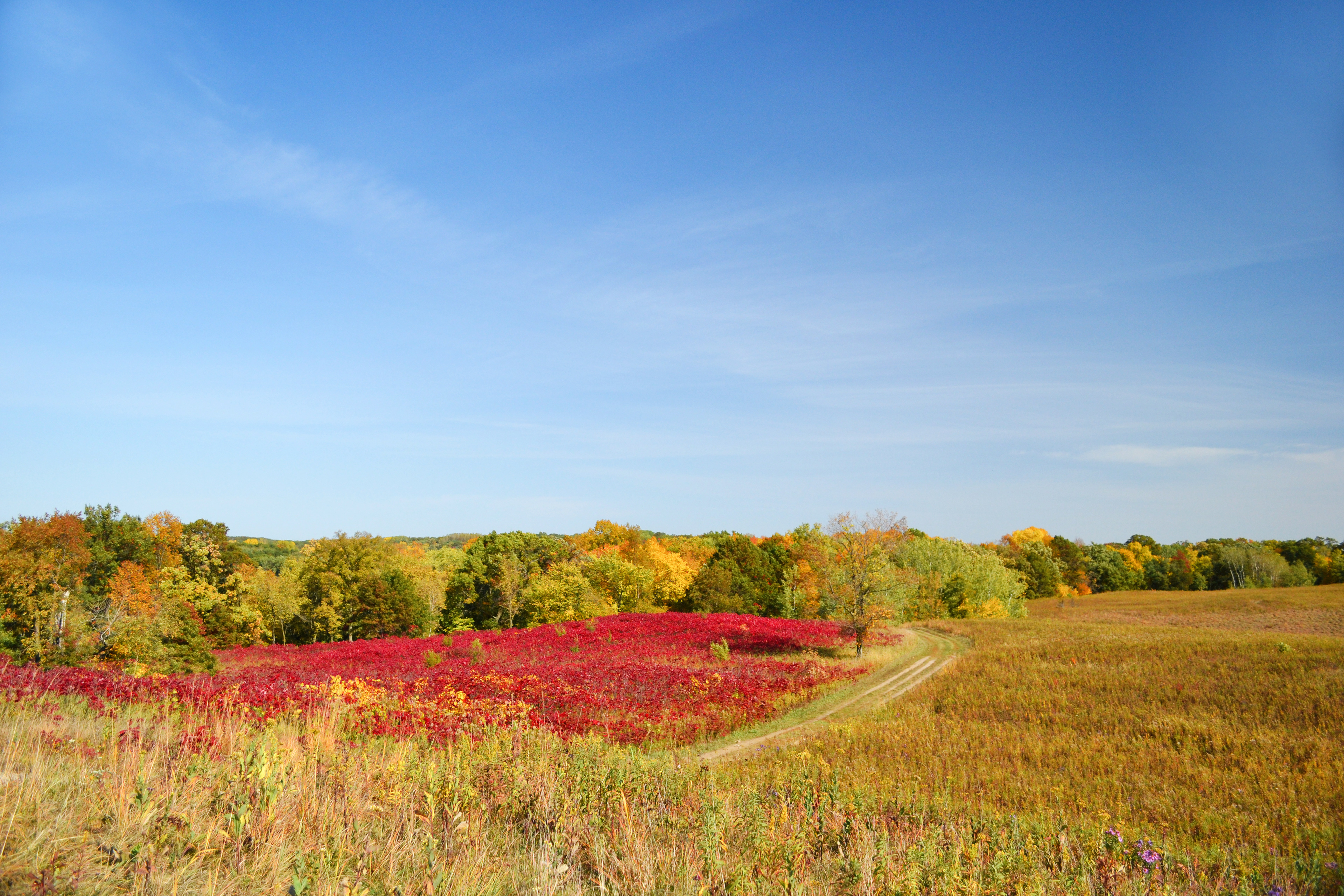 Murphy-Hanrehan Park Reserve