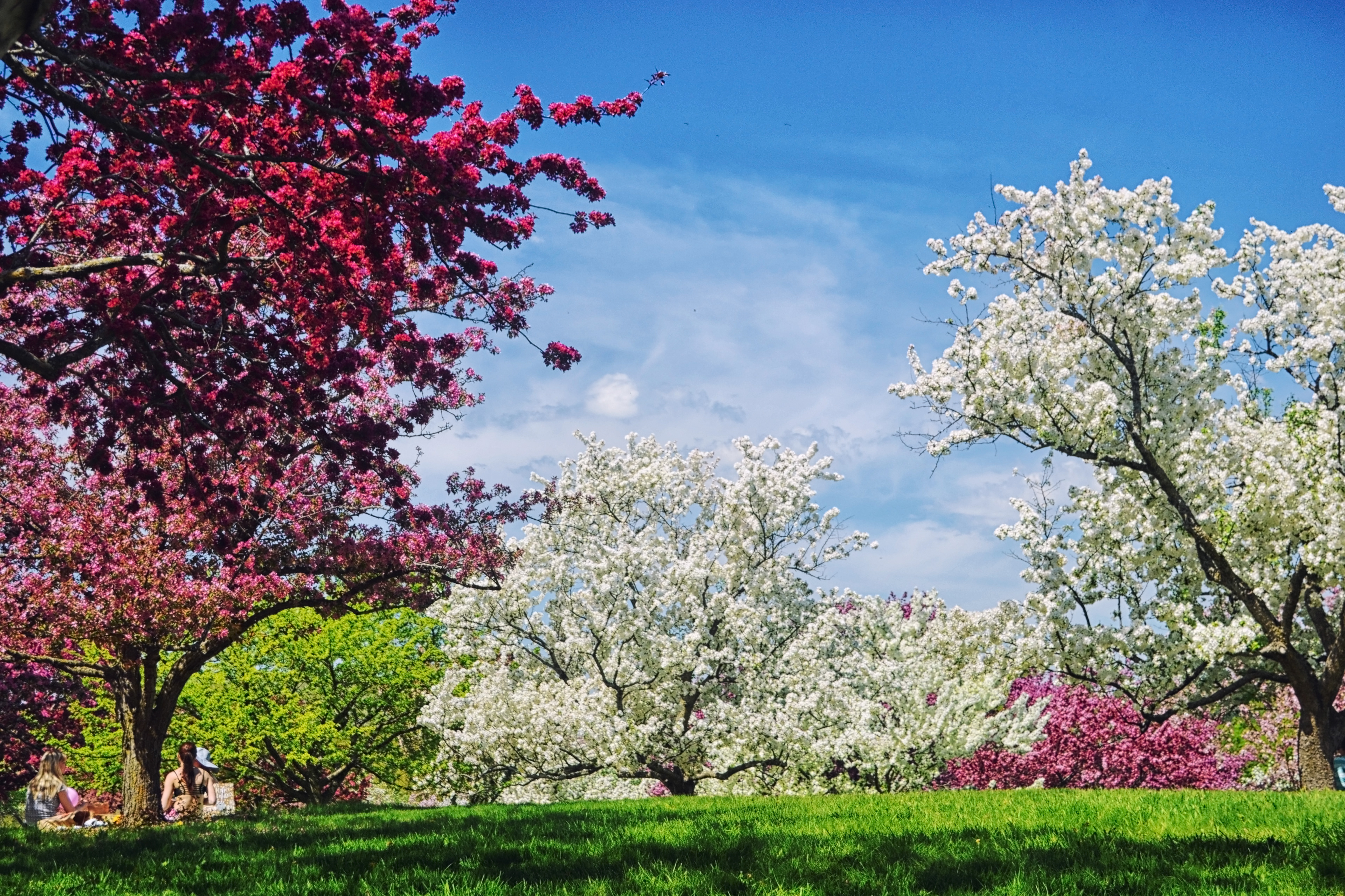 Minnesota Landscape Arboretum