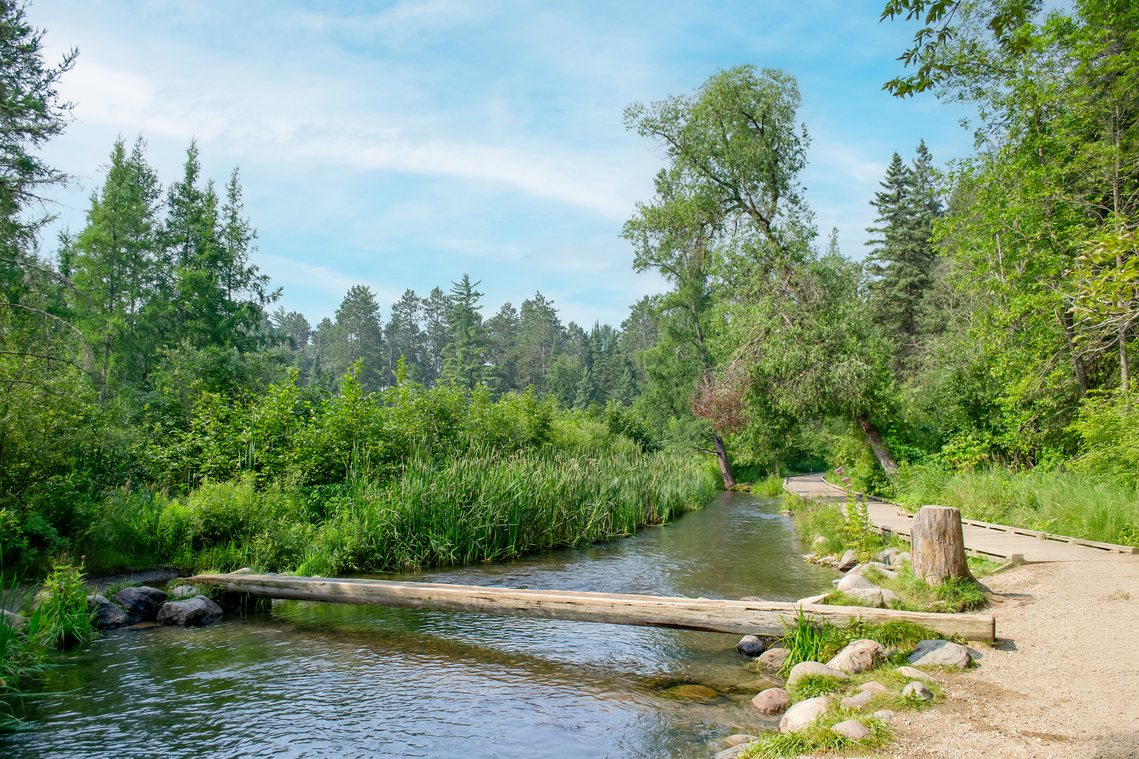 Mississippi River Headwaters in Itasca State Park.