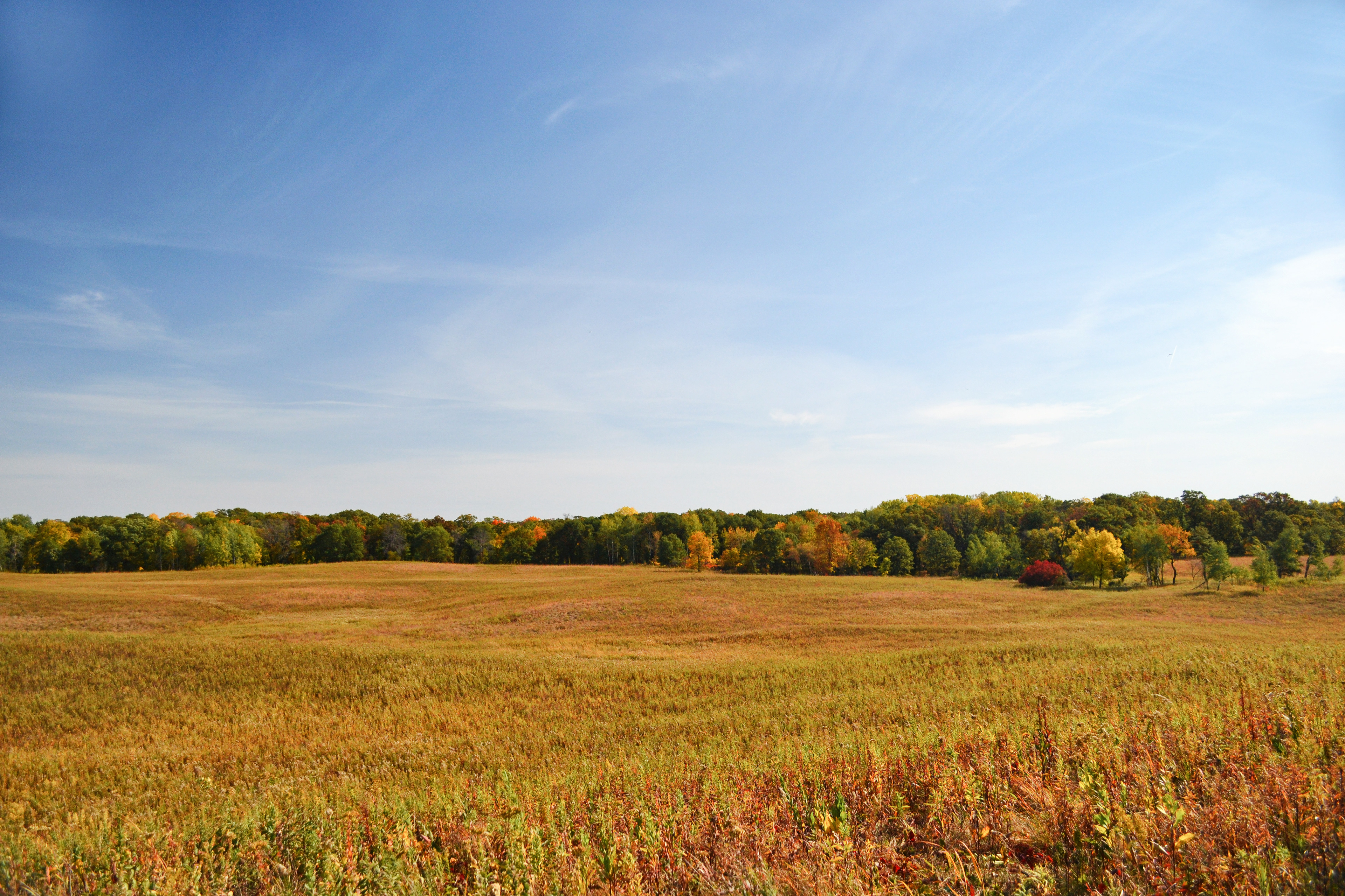 Murphy-Hanrehan Park Reserve.