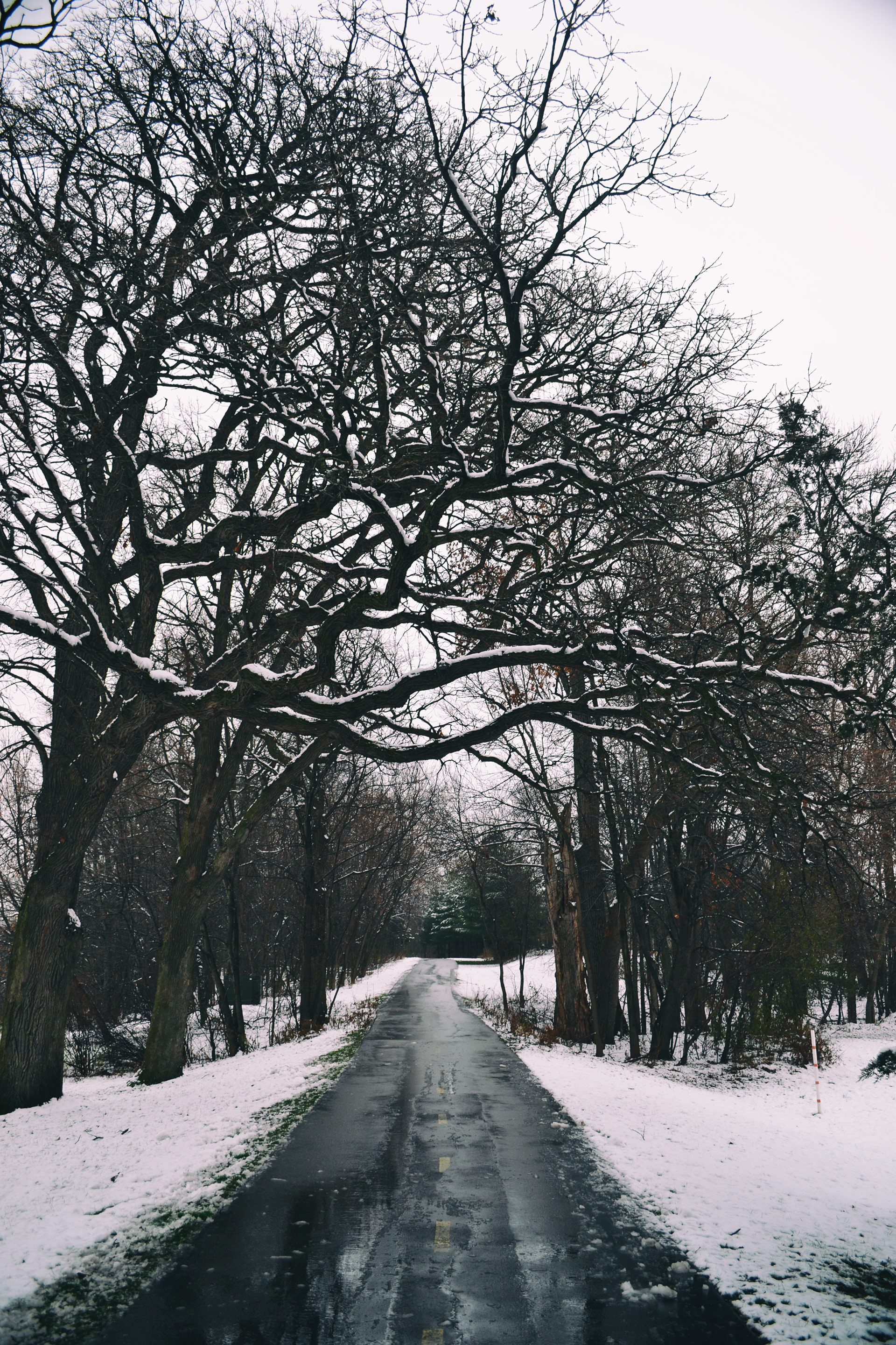 Cleary Lake Regional Park