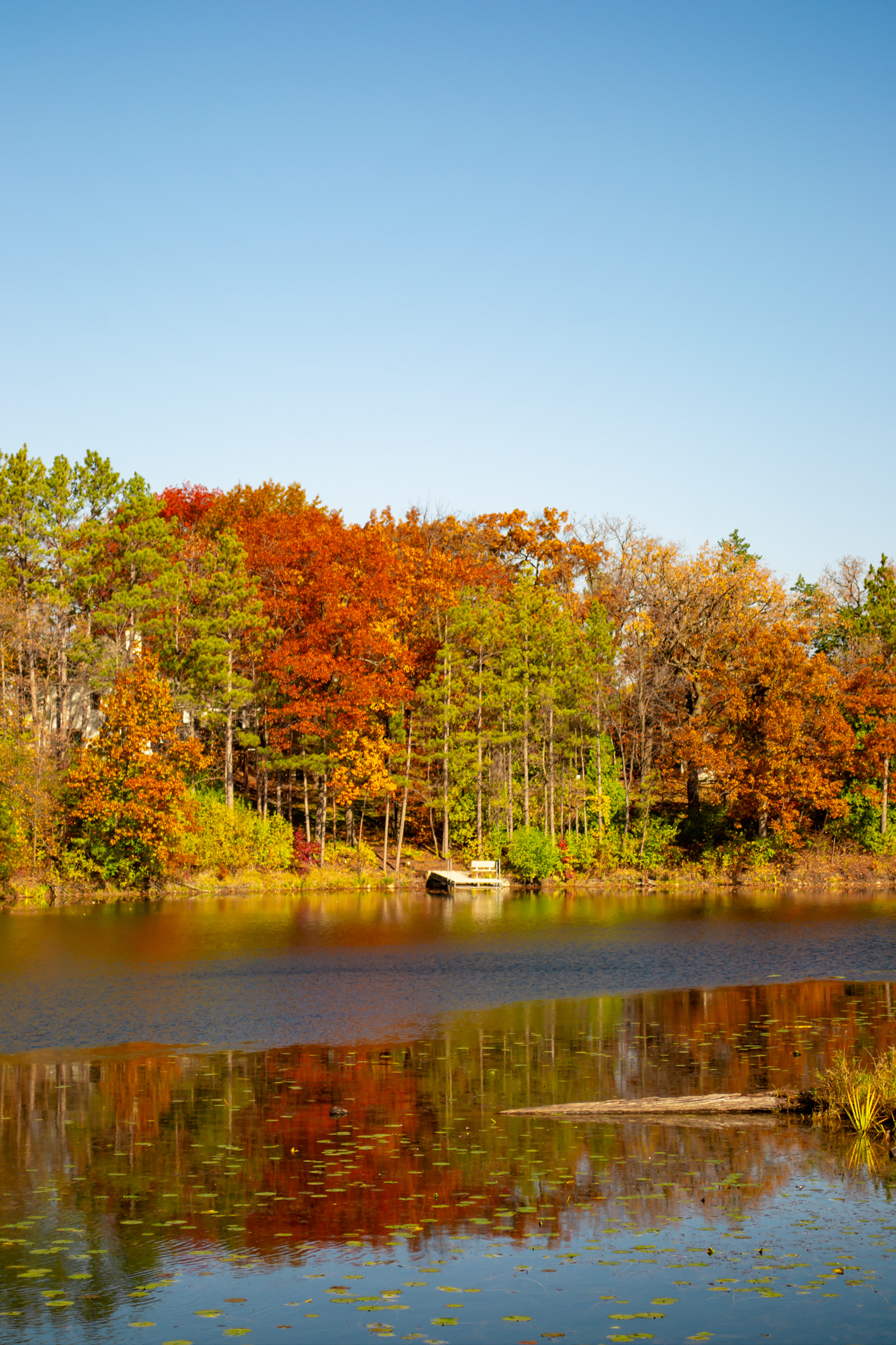 Cates Lake. Savage, MN.