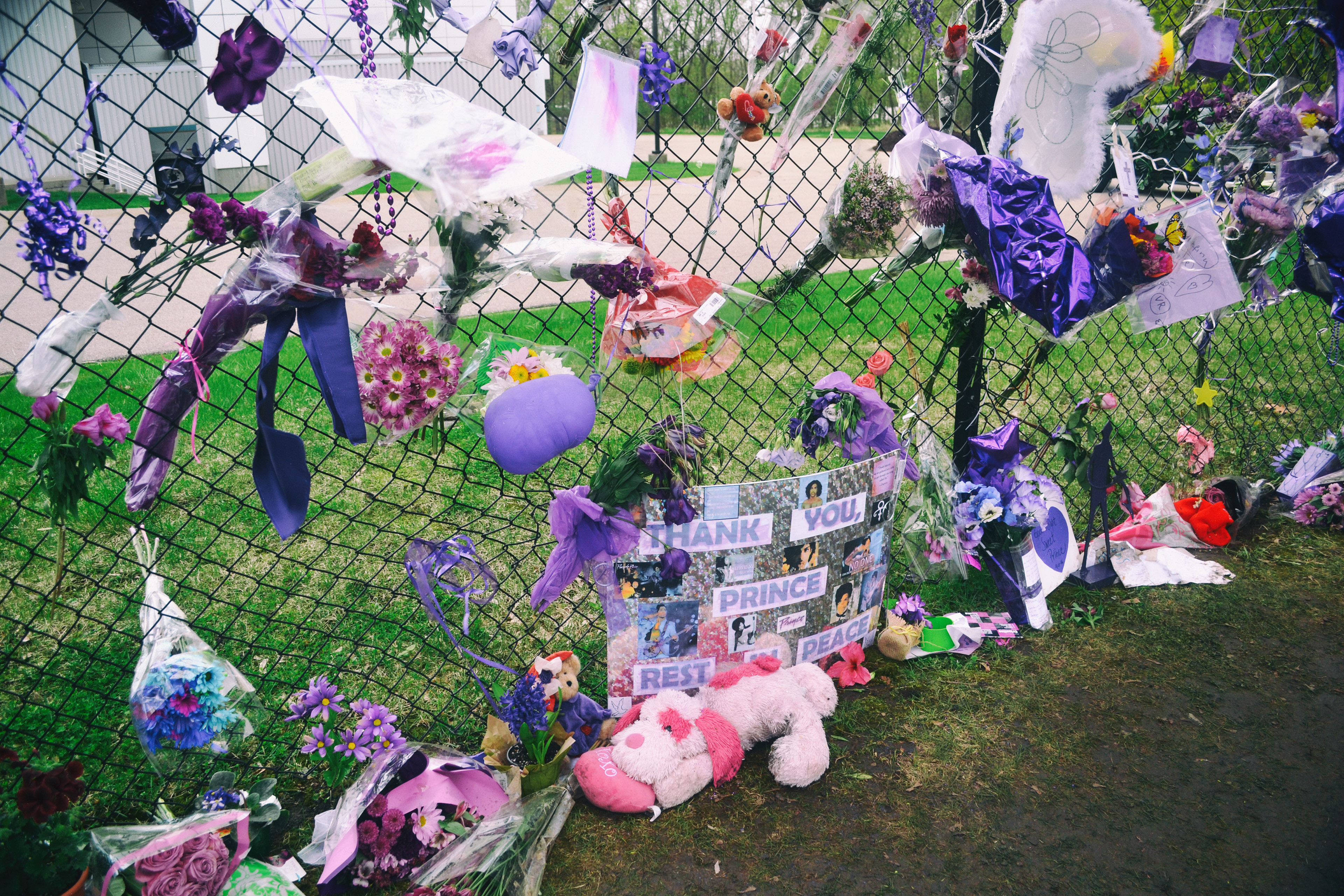 Paisley Park, Prince Memorial. 4/26/2016