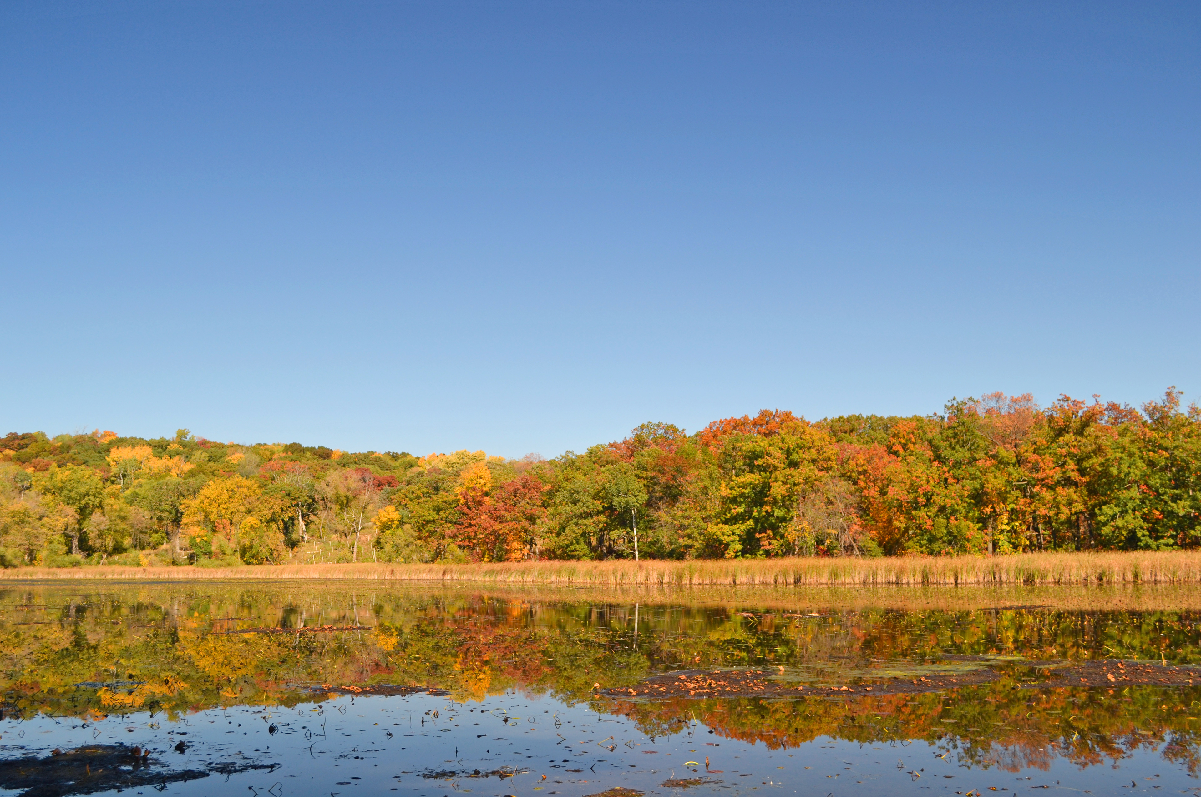 Lebanon Hills Regional Park