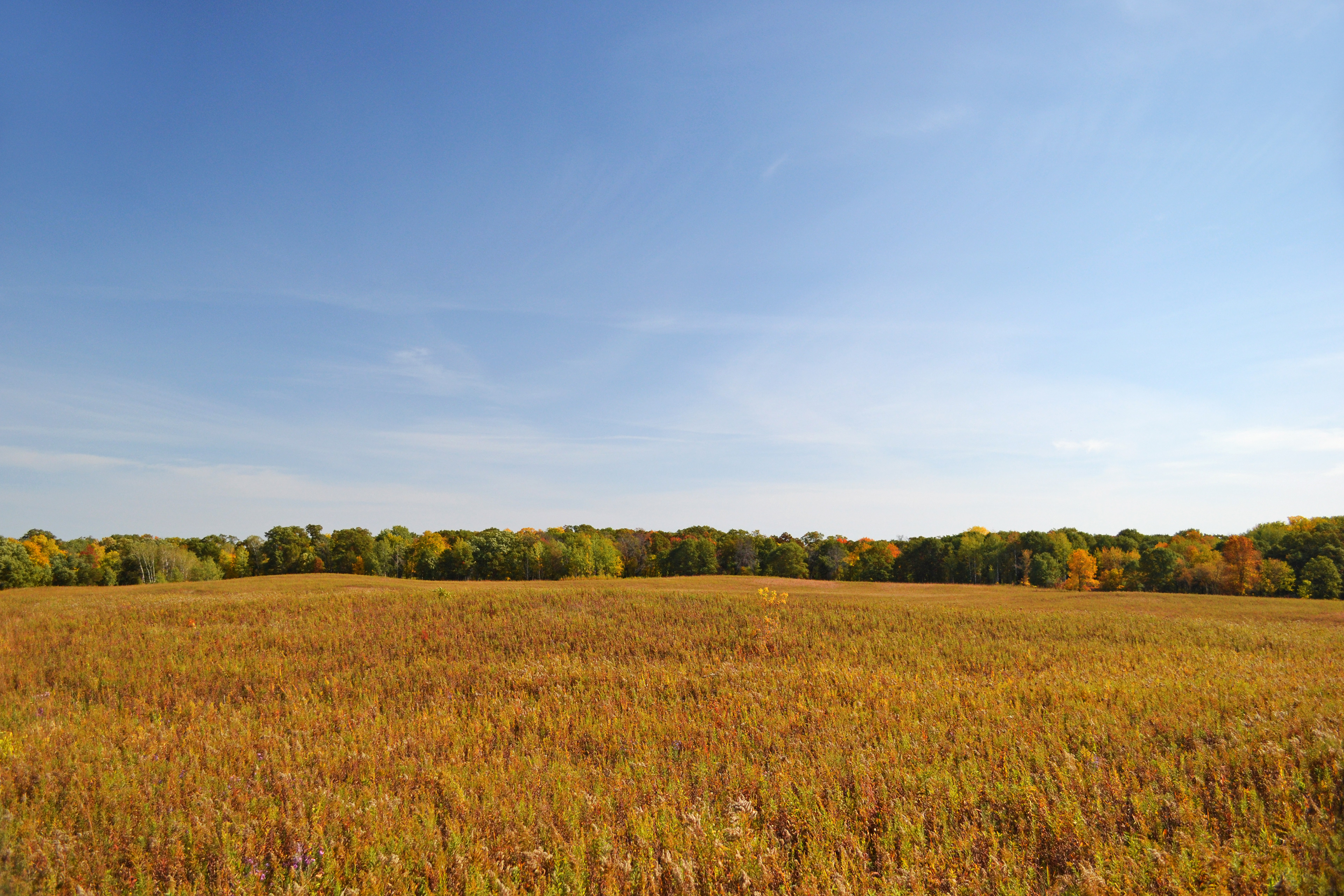 Murphy-Hanrehan Park Reserve