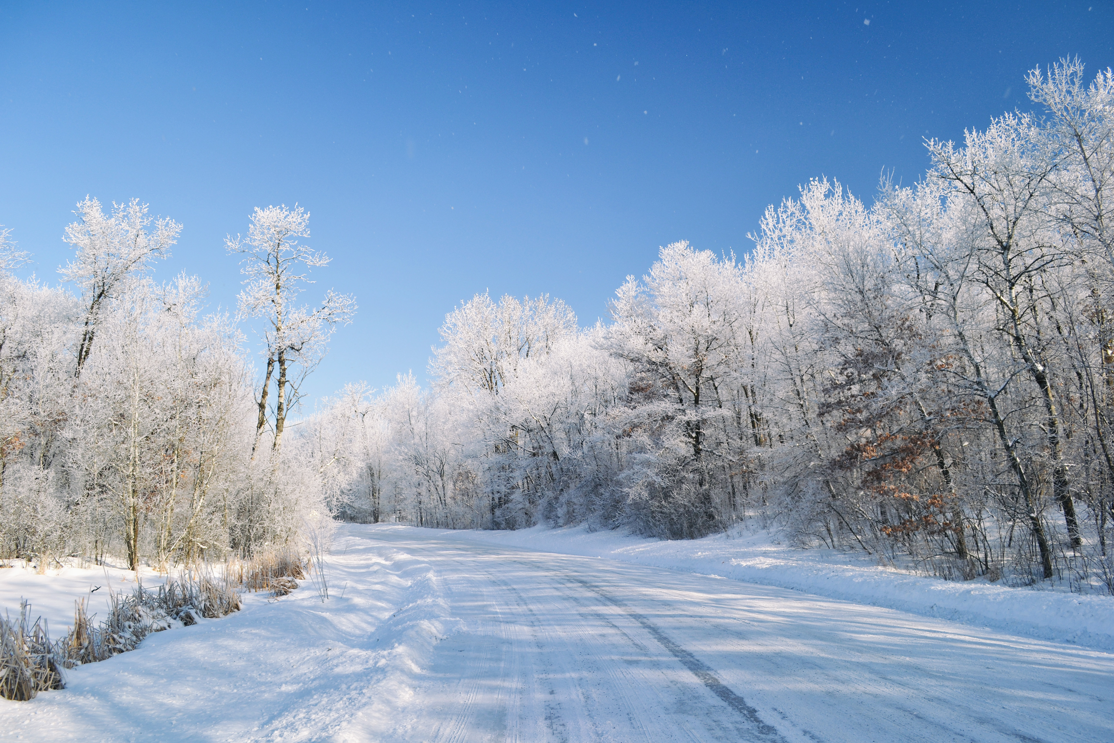 Murphy-Hanrehan Park Reserve