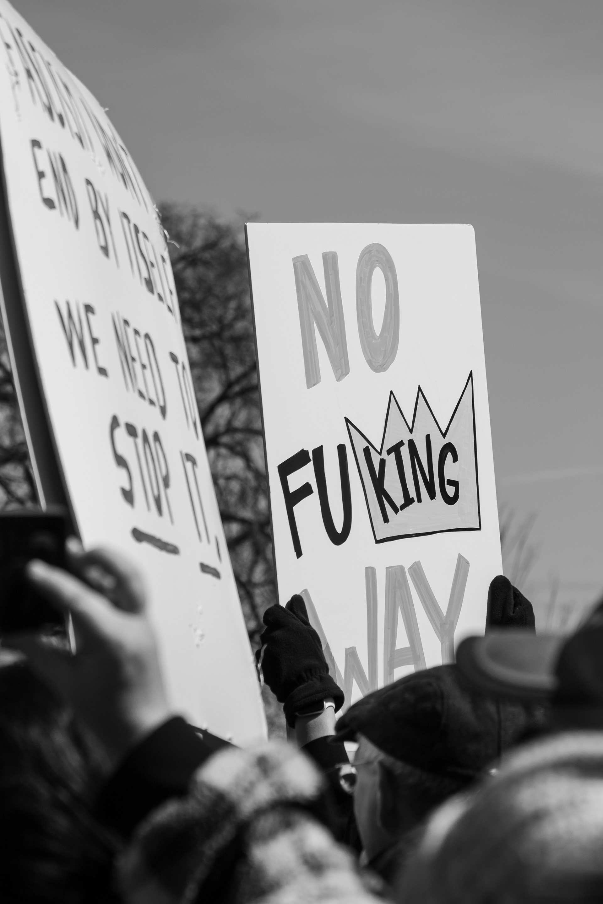 No Kings. St. Paul Minnesota.