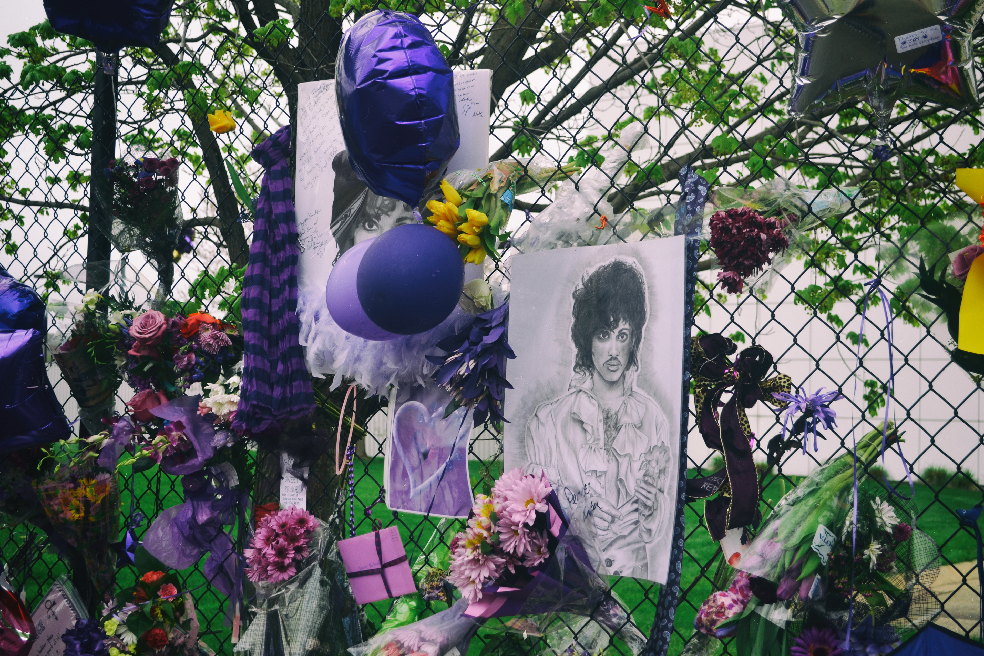 Paisley Park, Prince Memorial. 4/26/2016