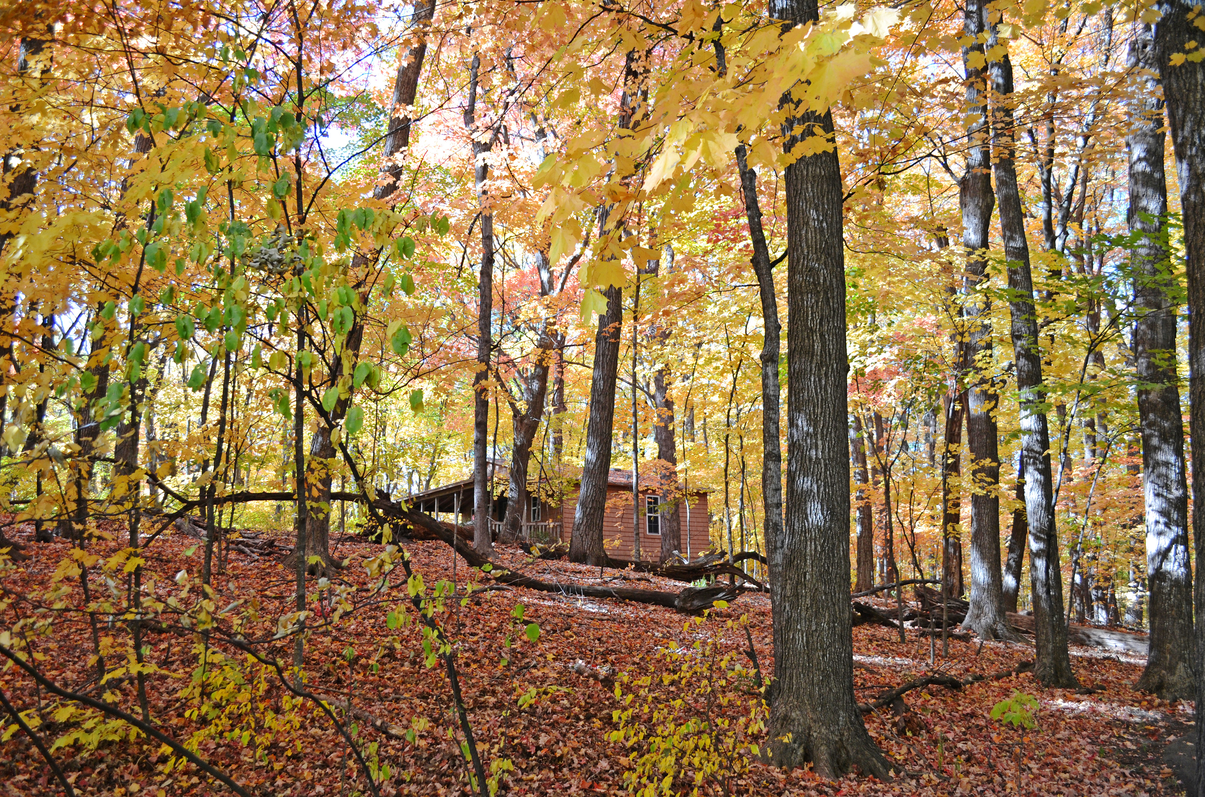 Minnesota Landscape Arboretum