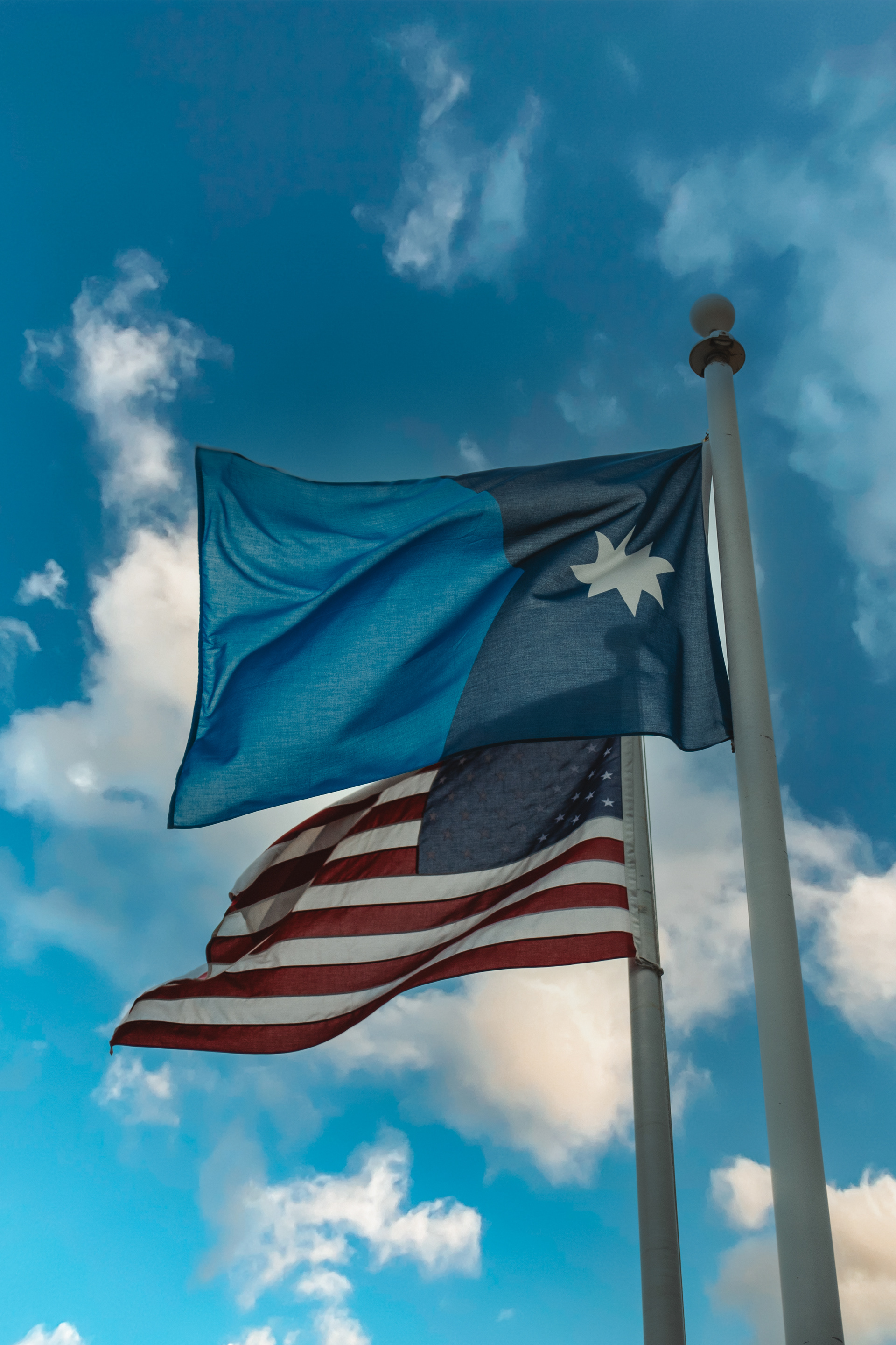Minnesota State Flag.