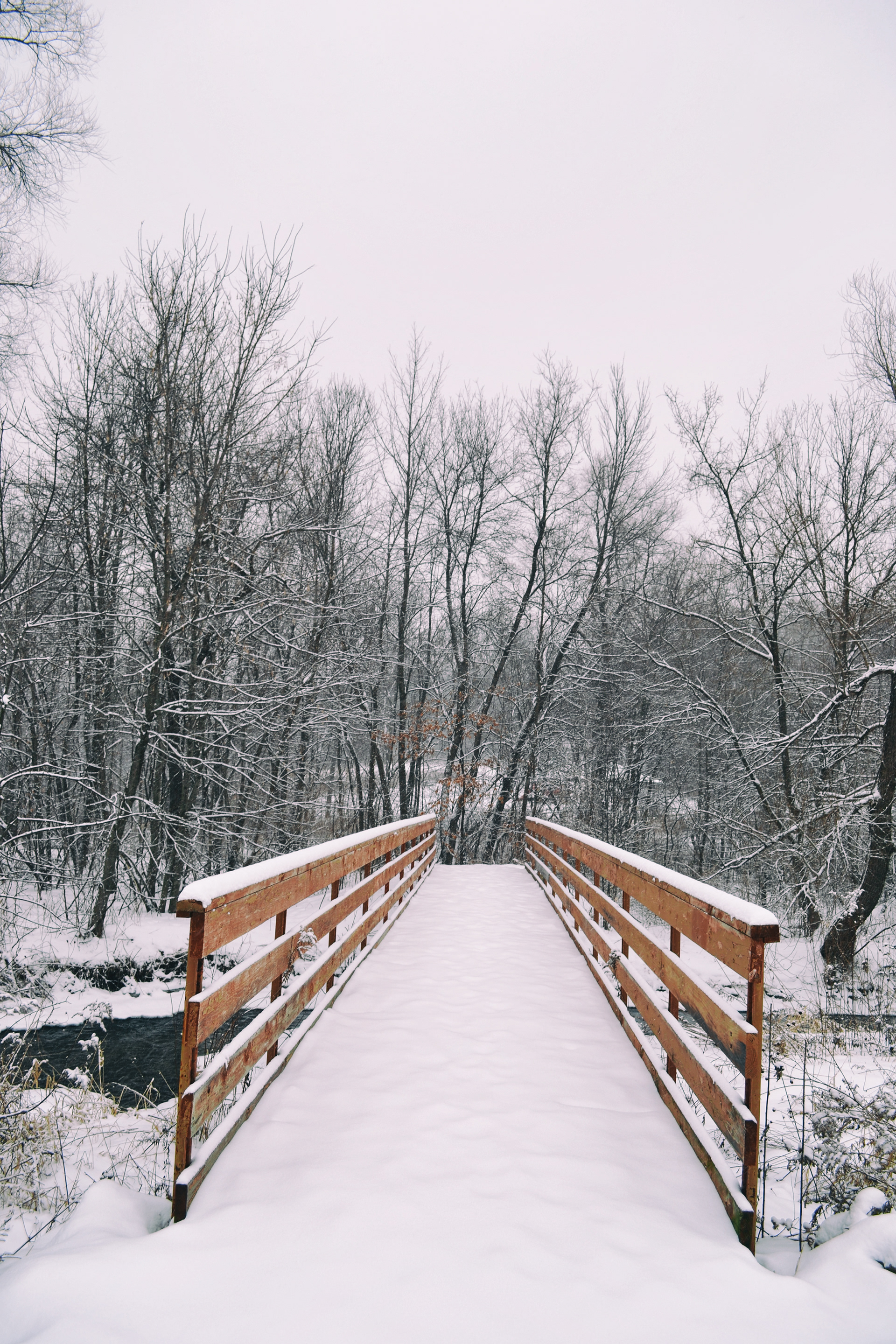 Hidden Valley Park. Savage, MN.